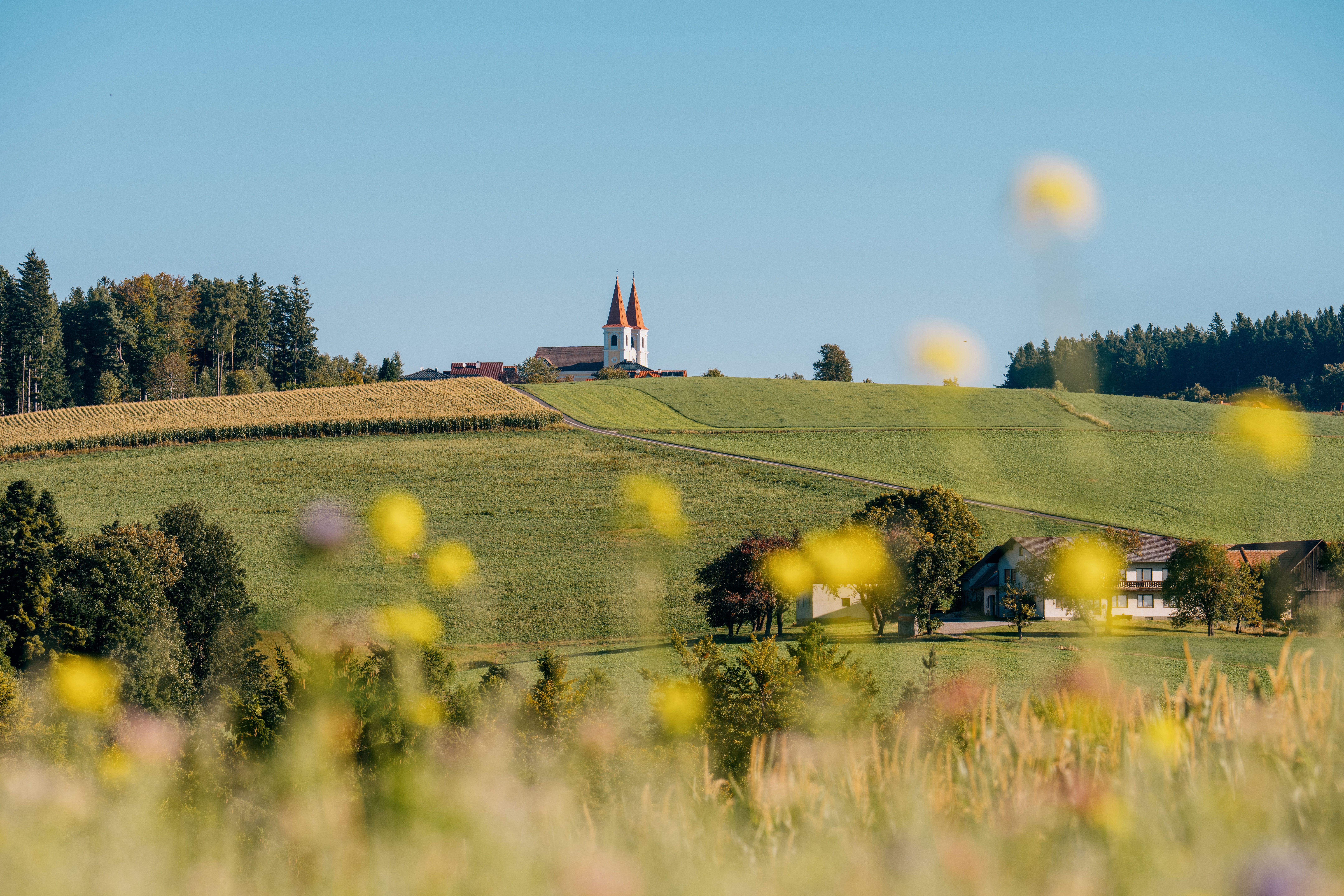 Krajina s poutním kostelem se dvěma věžemi a červenou střechou na kopci