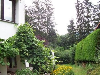 Zahrada
