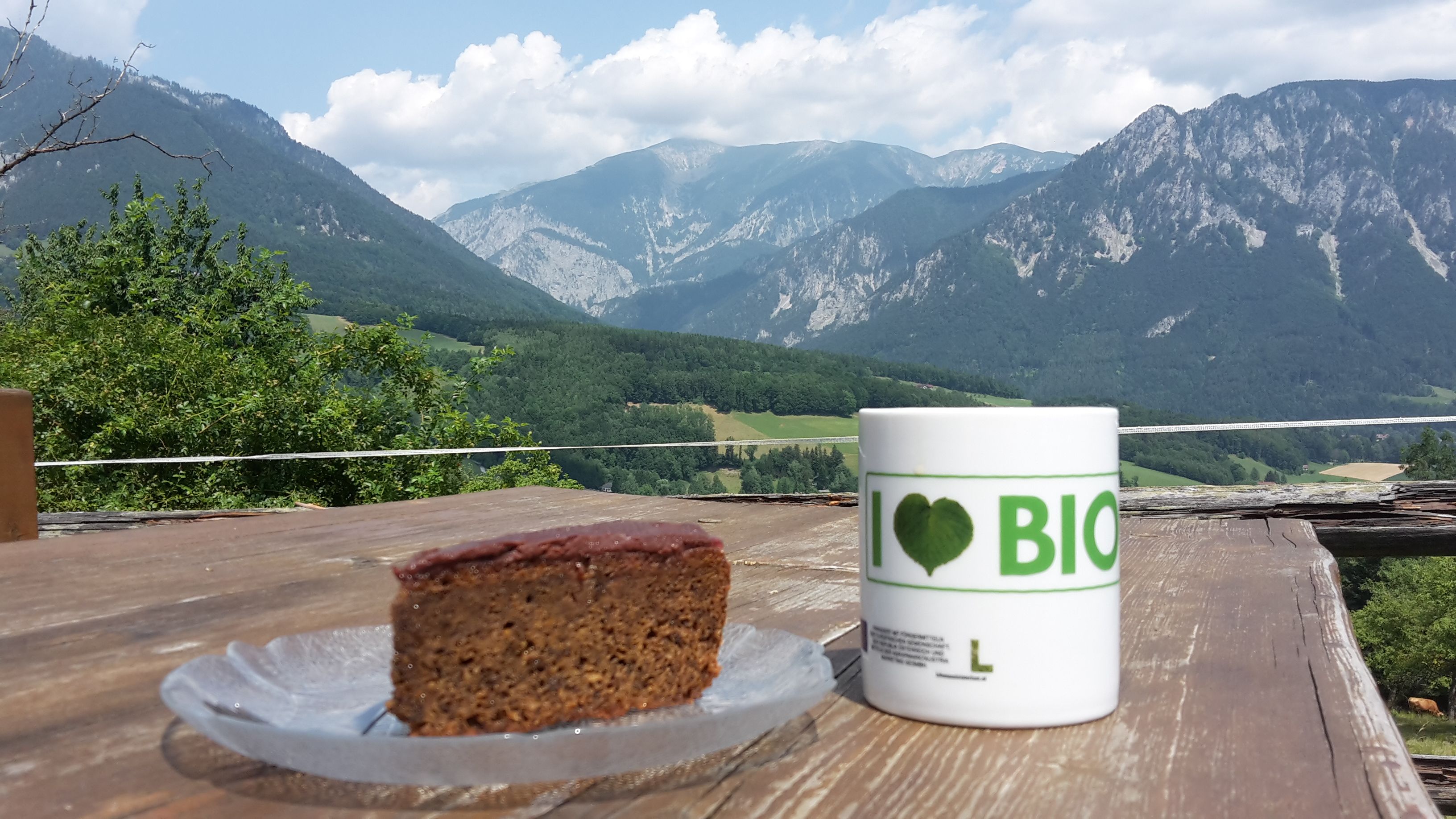 Kousek dortu a hrnek s nápisem "I love BIO" na dřevěném stole před horskou krajinou.