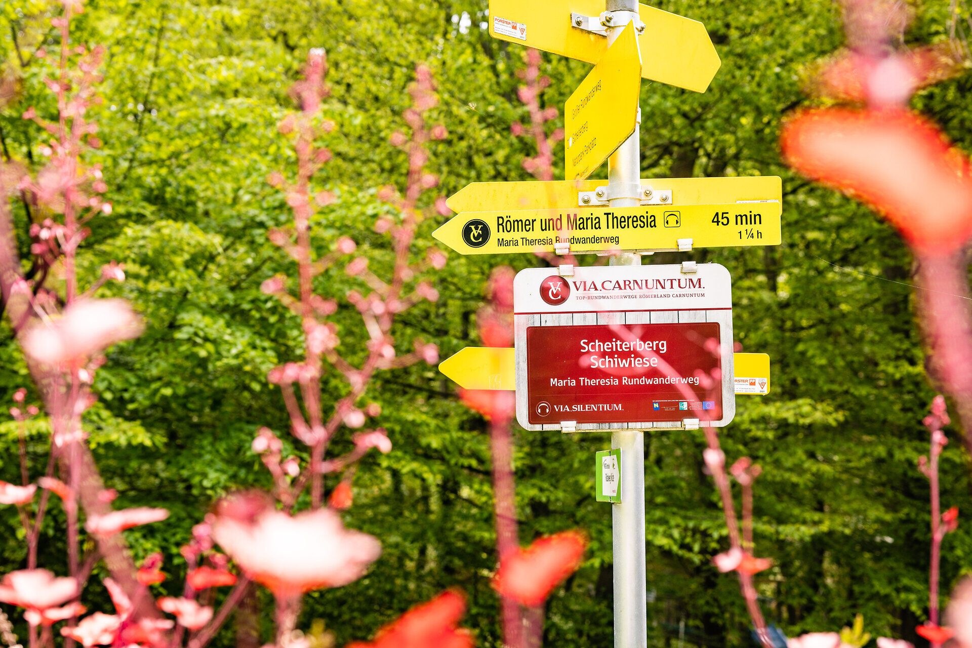 Stojan s několika turistickými značkami.