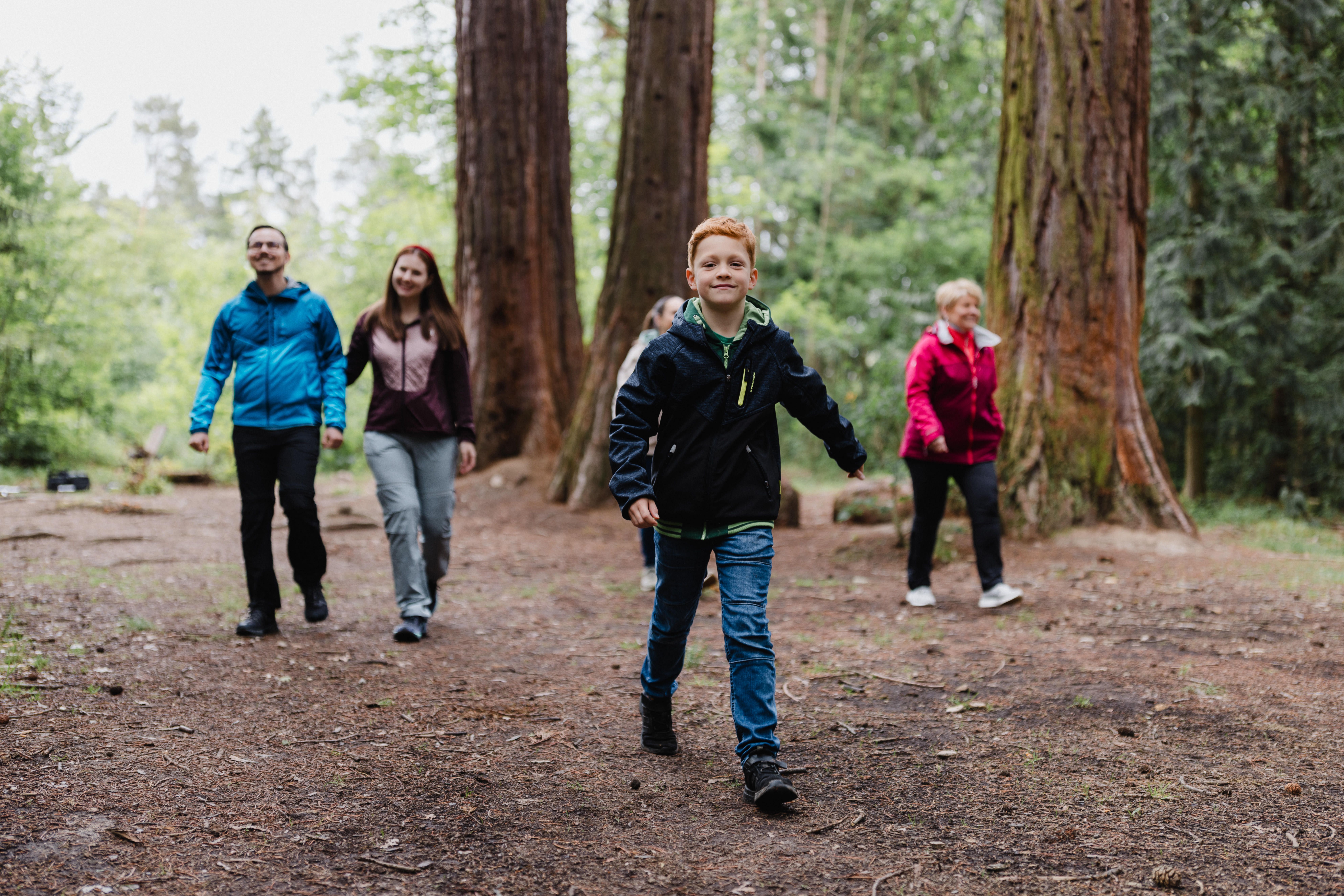 Skupina lidí procházející lesem s vysokými stromy.
