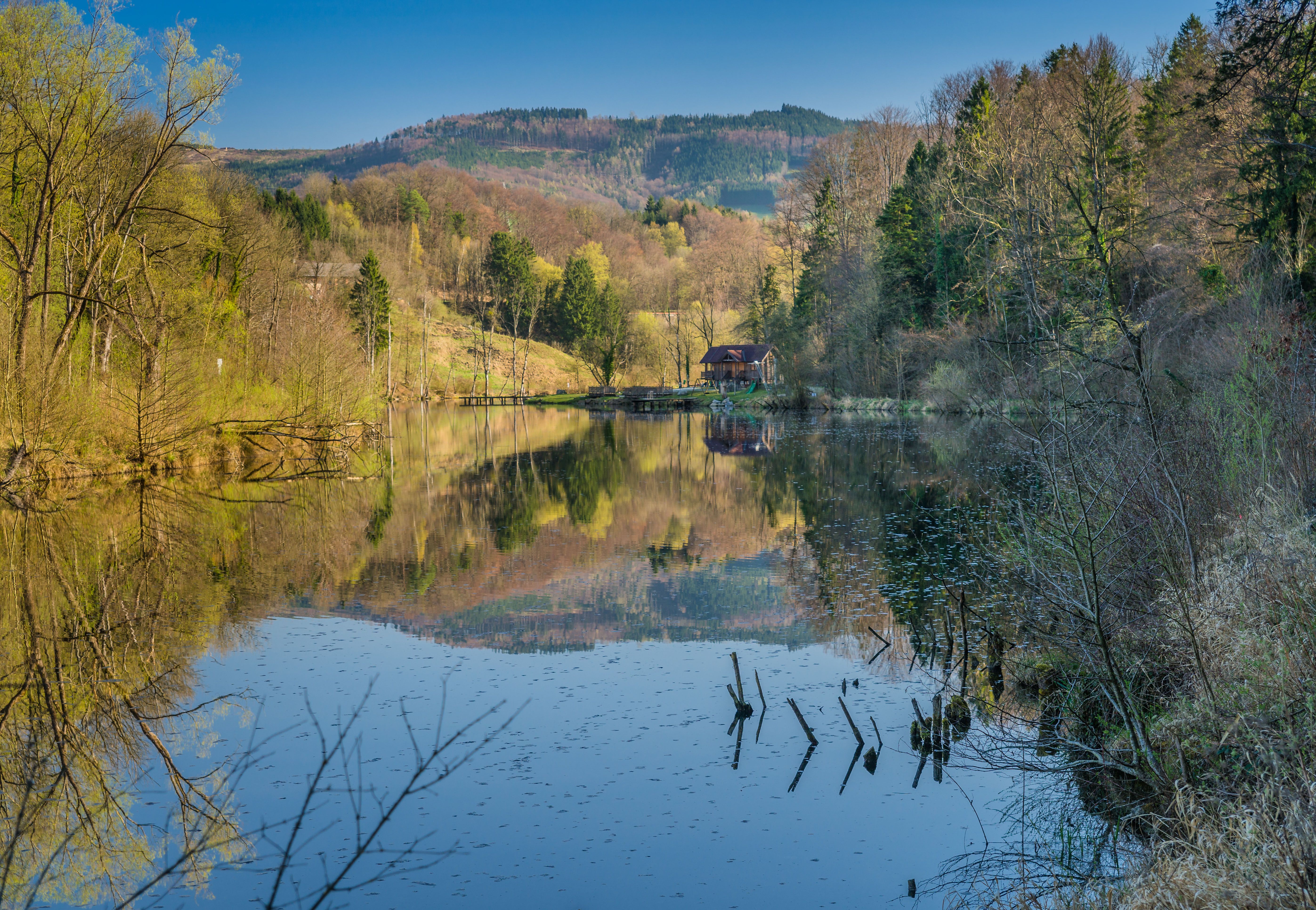 Klidné jezero s lesem a kopci v pozadí, které se odráží ve vodě.