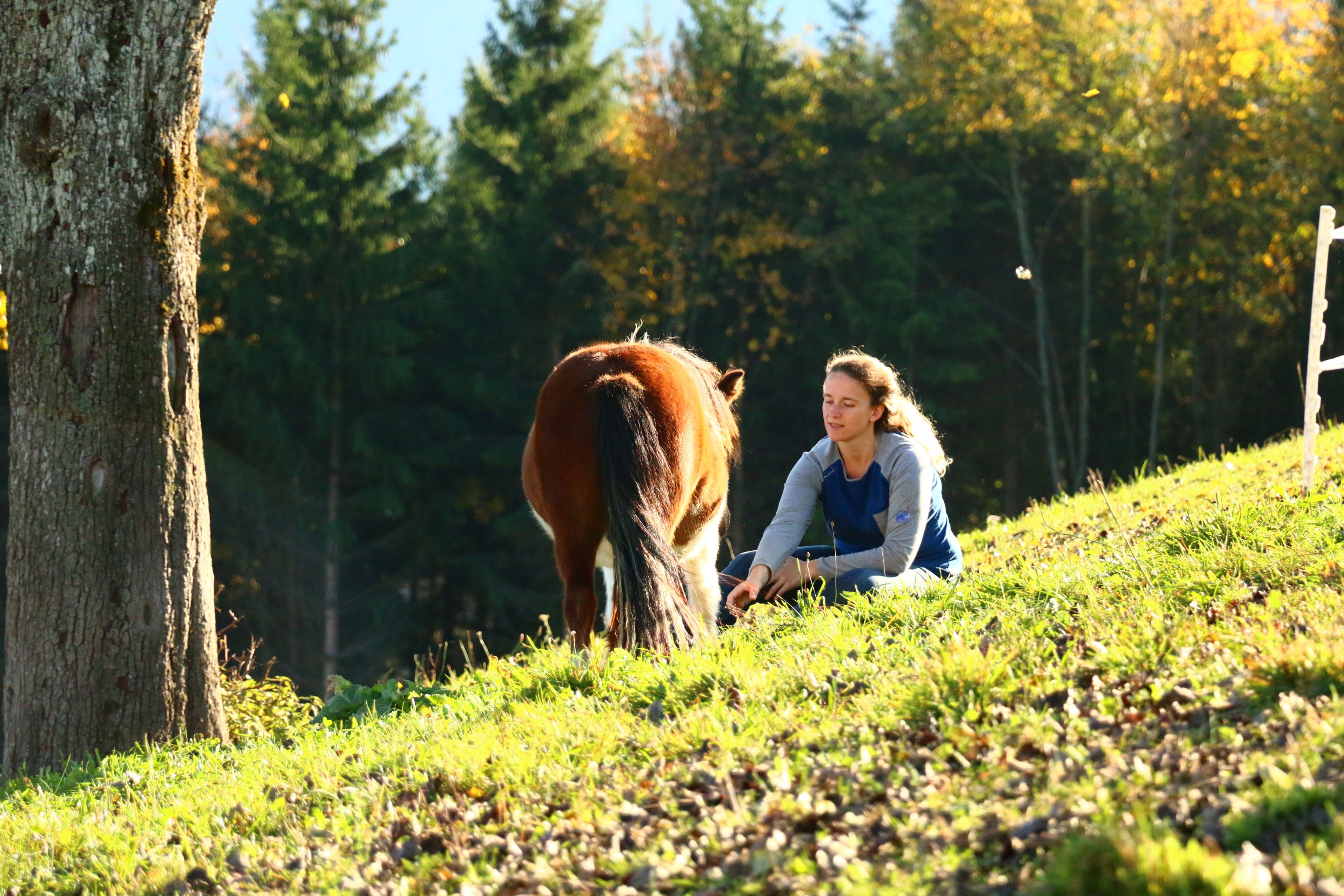 holiday-at-almbauer-5