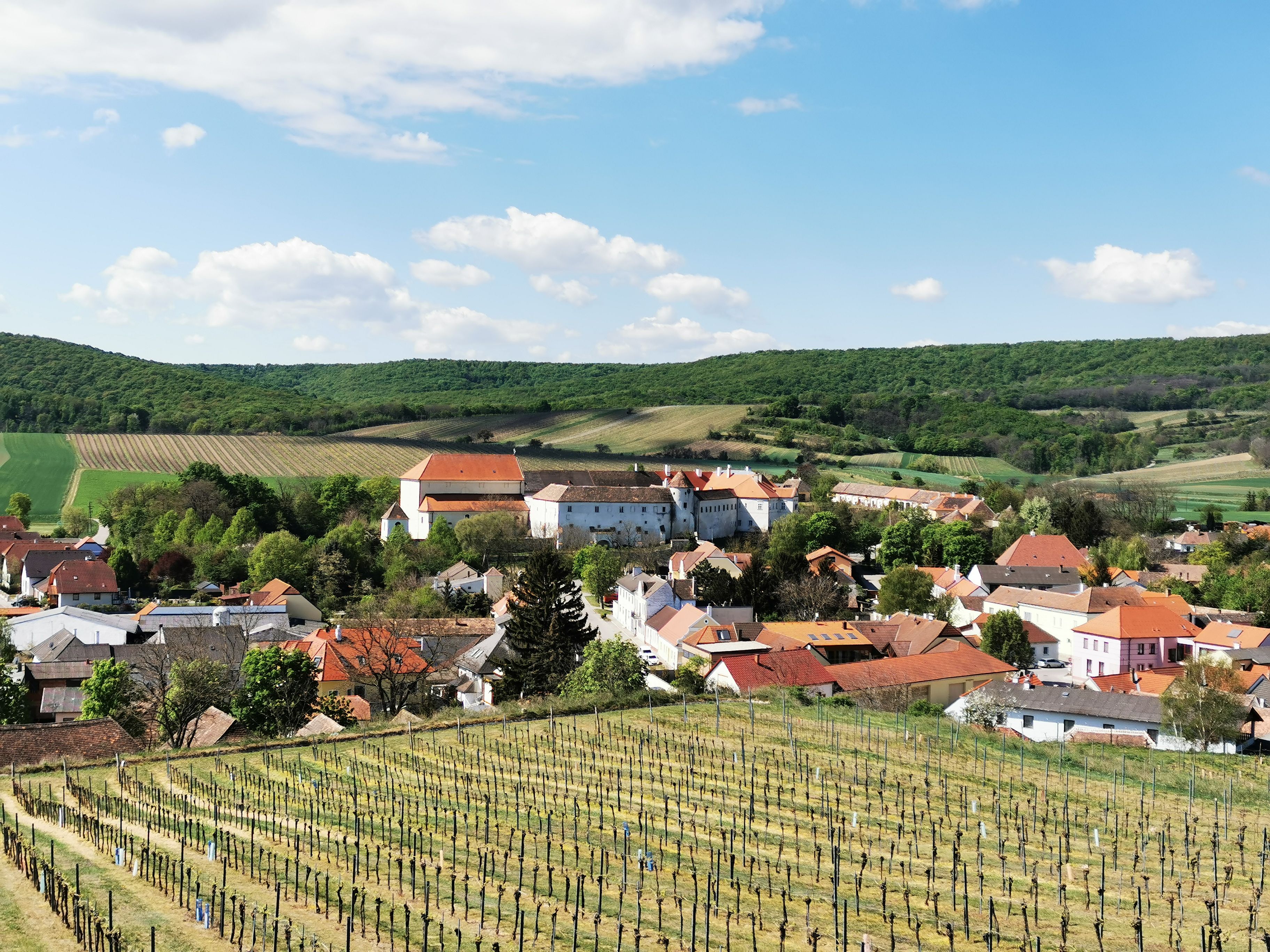 Pohled na vesnici s vinicemi v popředí a kopci v pozadí.