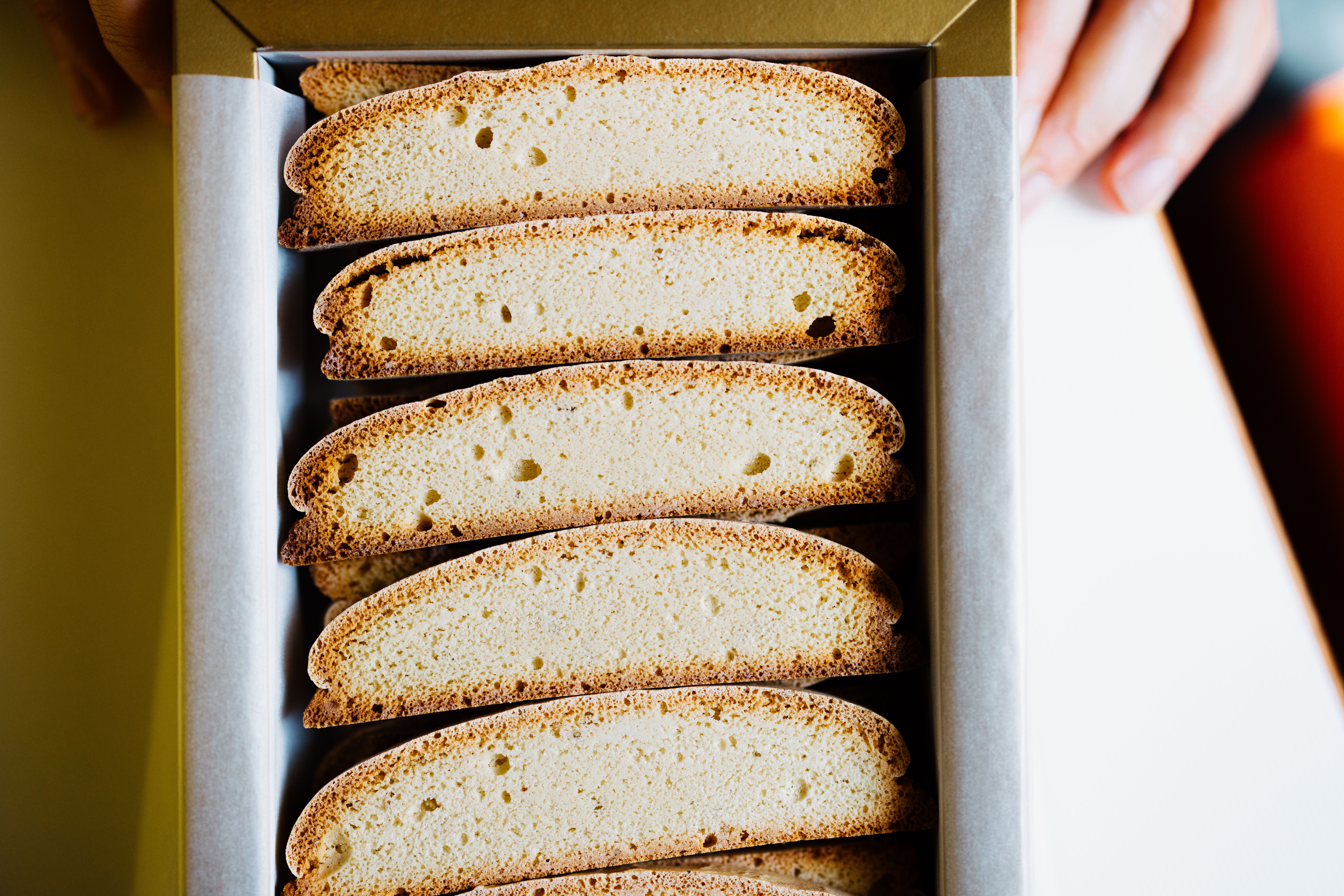 Ilustrační obrázek