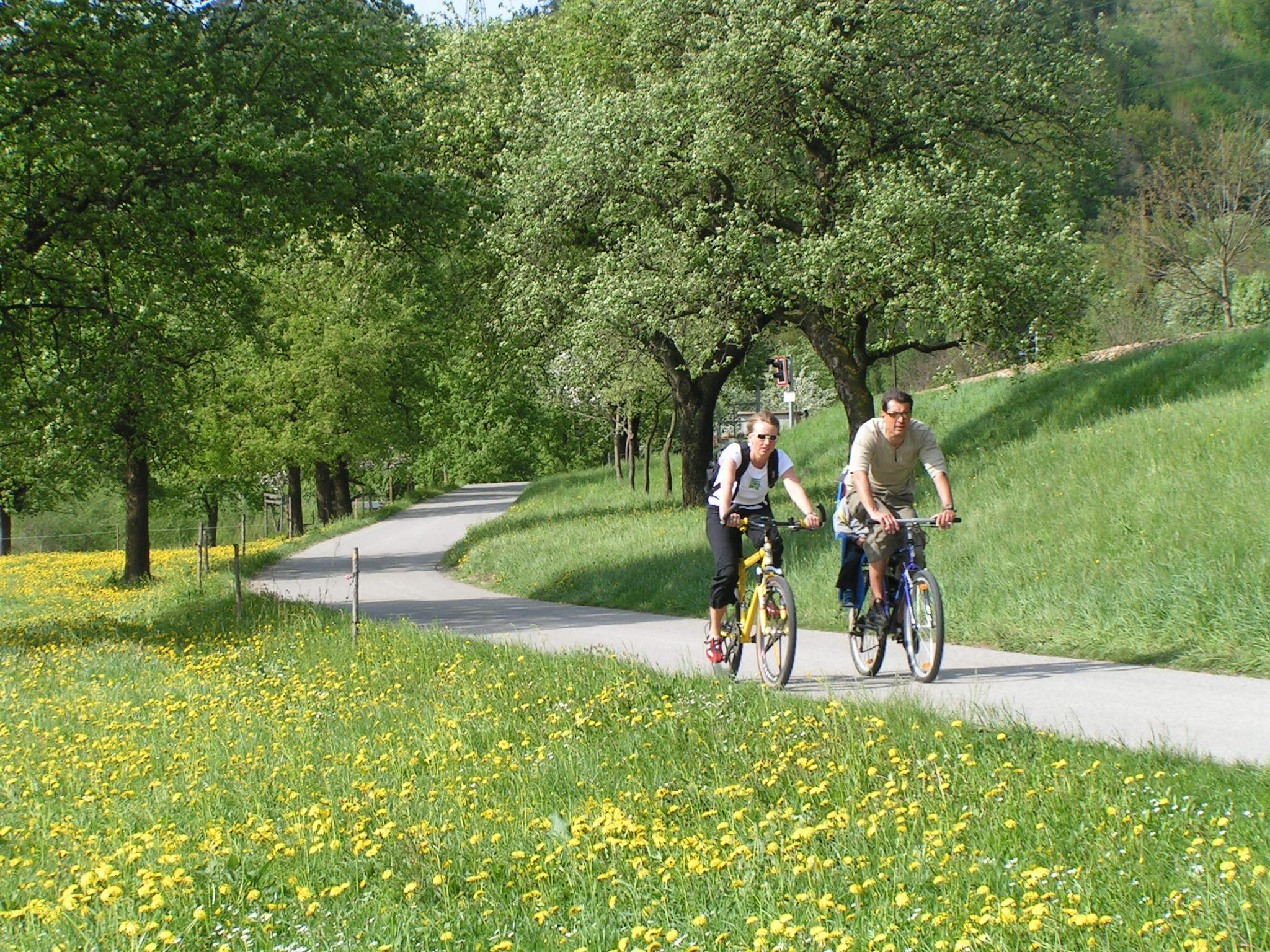 Dva cyklisté na cestě v přírodě, obklopeni kvetoucími loukami a stromy.