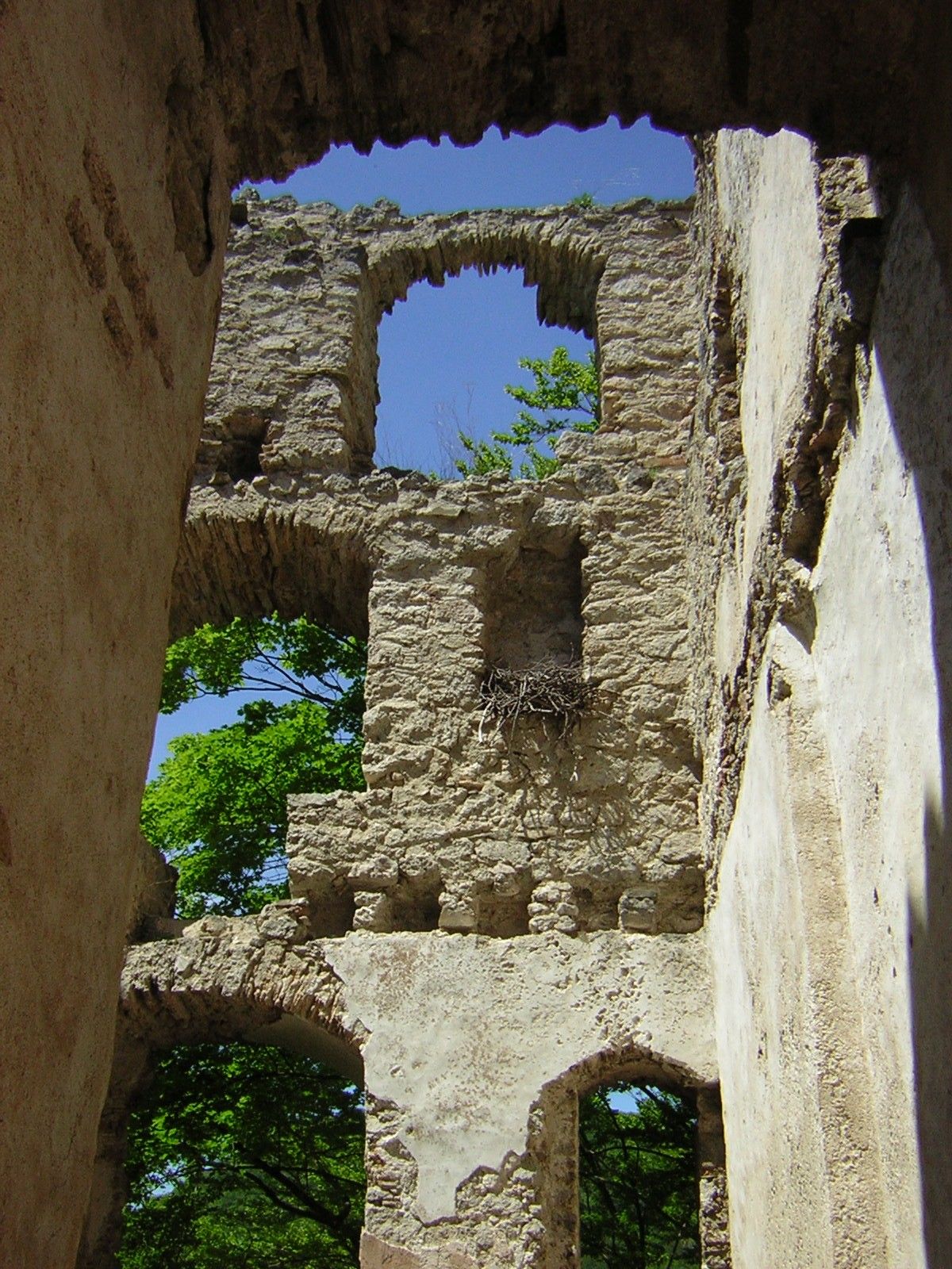 Zeď zříceniny s okenními otvory a ptačím hnízdem, obklopená stromy.