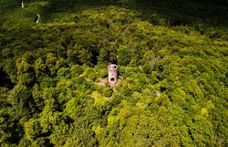 Umgeben von üppigem Grün erhebt sich die Wilhelmswarte majestätisch über die Wälder des Wienerwaldes. Von hier aus eröffnet sich ein atemberaubender Blick auf die sanften Hügel und die malerische Landschaft, die zum Verweilen und Entdecken einlädt. Ein Ort der Ruhe und Inspiration, ideal für Naturliebhaber und Wanderfreunde.