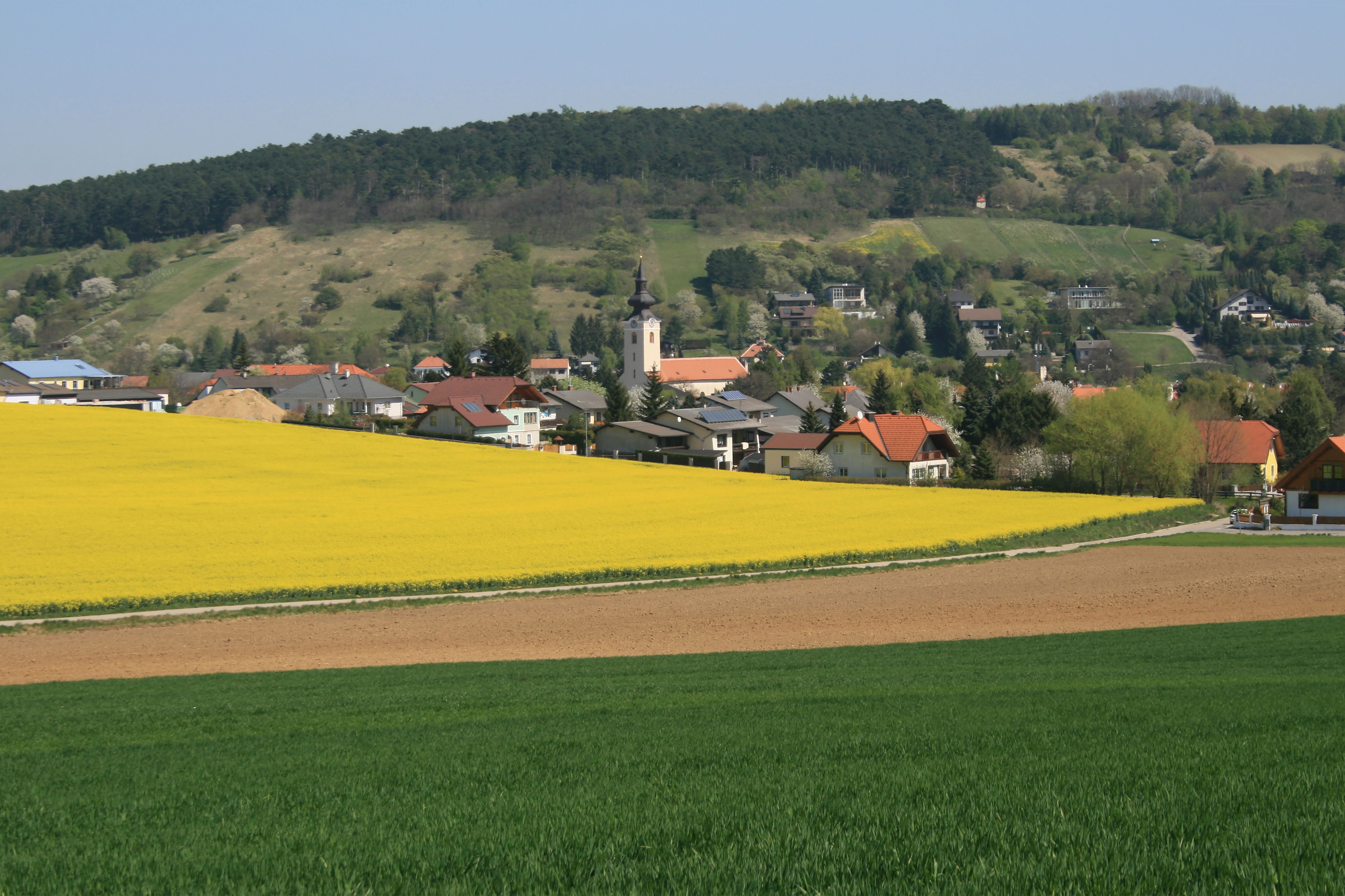 Krajina se žlutým řepkovým polem, vesnicí a zalesněnými kopci v pozadí.