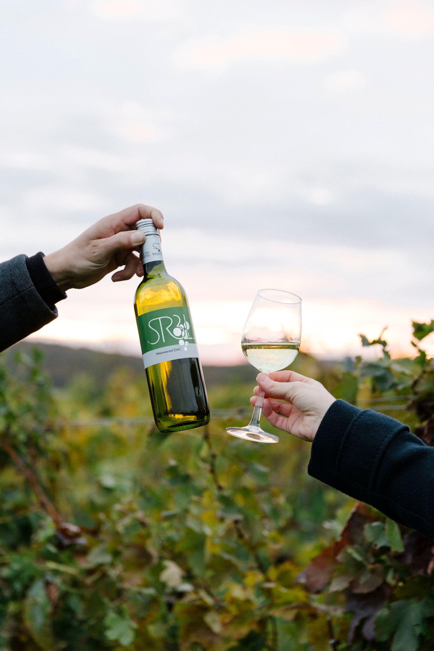 Dvě ruce drží láhev vína a sklenici bílého vína před vinicí.