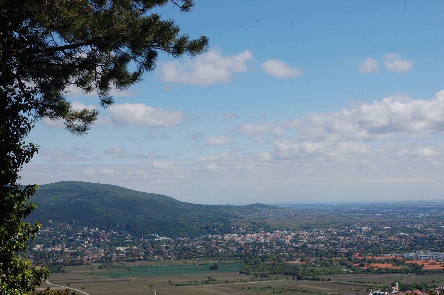 Pohled z Harzbergu