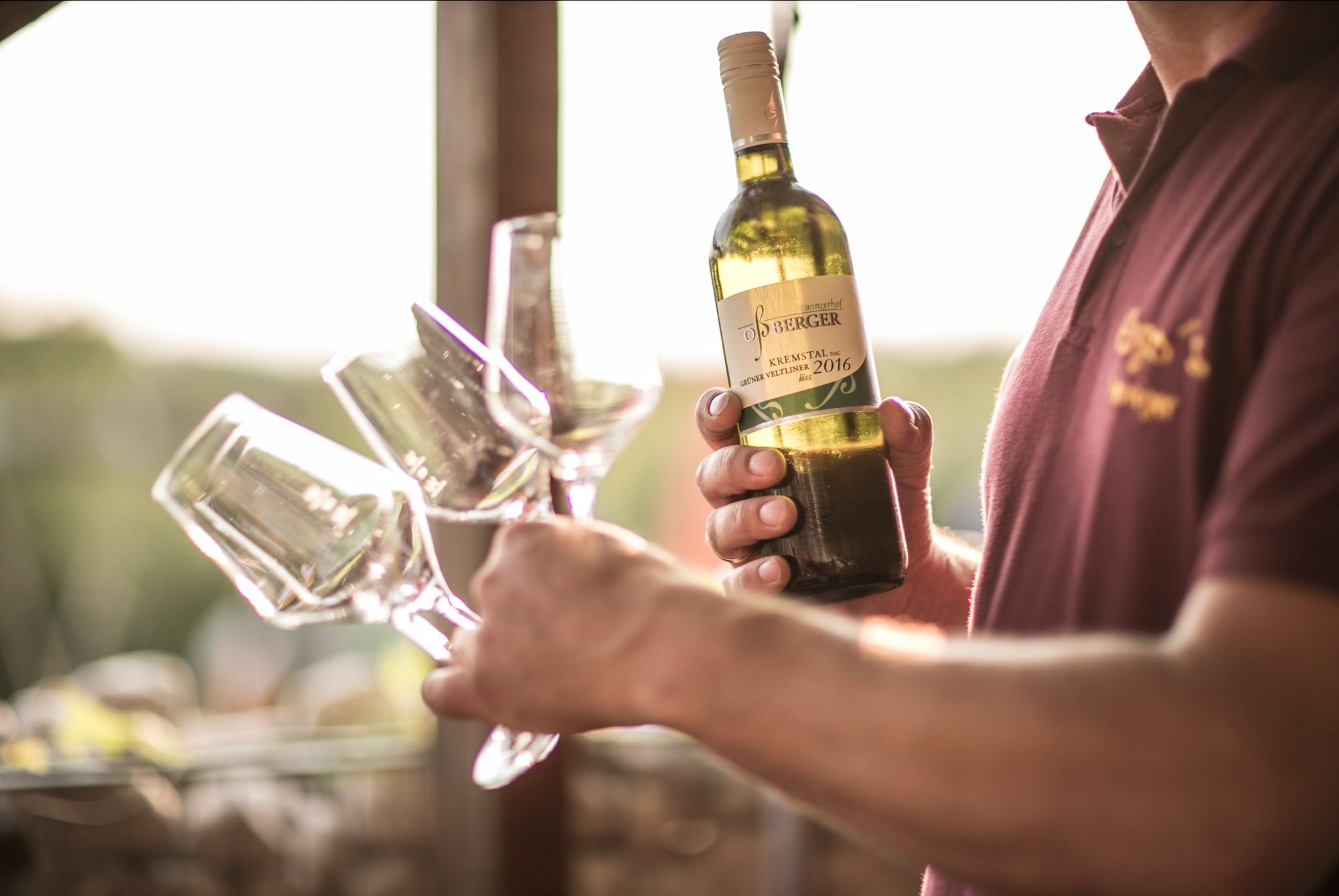 Osoba drží láhev vína veltlínské zelené 2016 a několik sklenic.