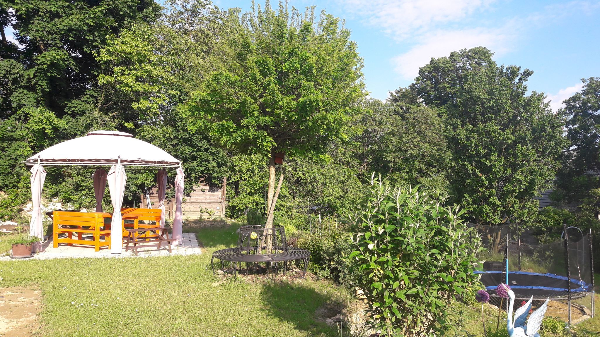 Zahrada s pavilonem, lavičkami, trampolínou a stromy.