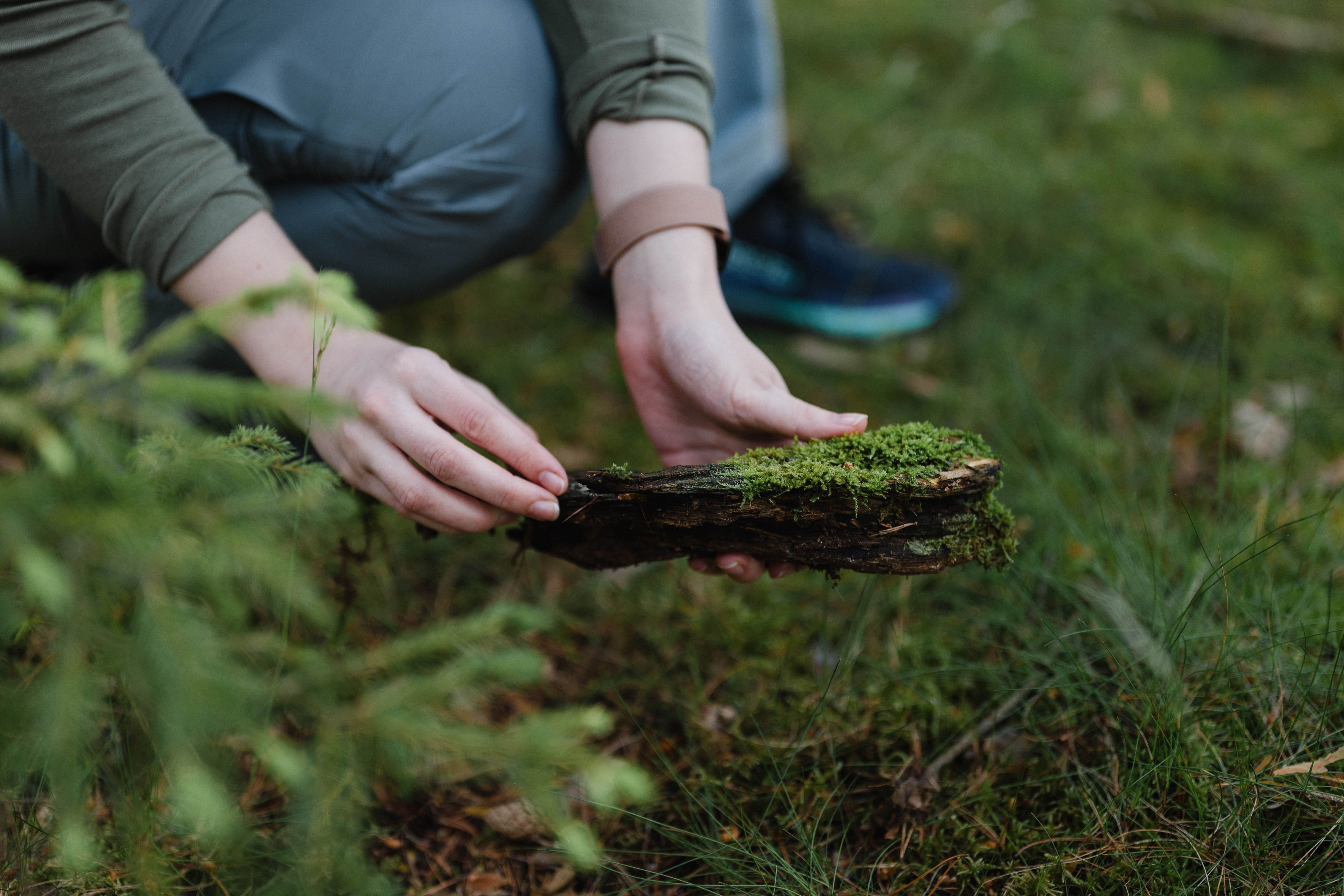 Osoba držící v lese kus dřeva porostlý mechem.