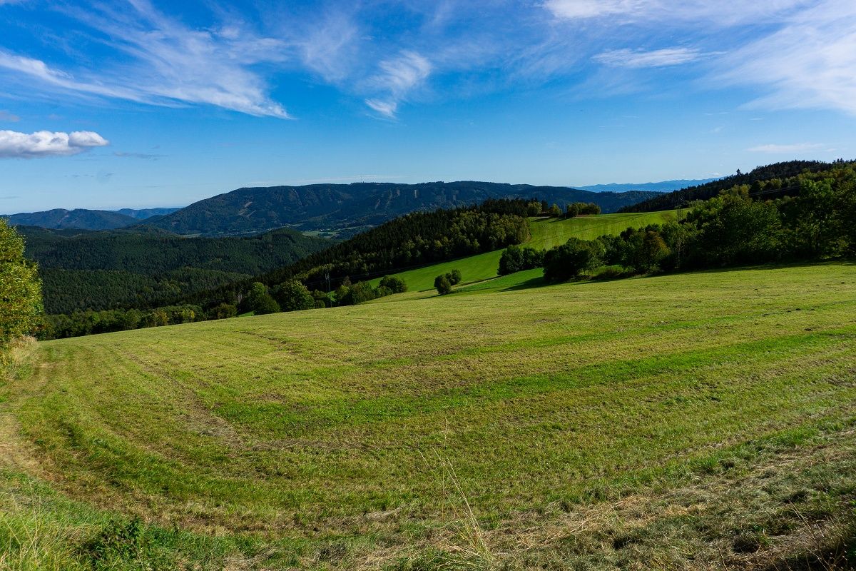 Pohled na Jauerling