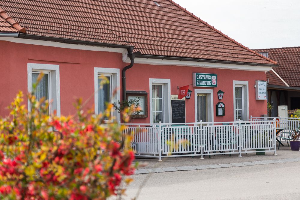 Růžová budova s nápisem "Gasthaus Zivanovic", obklopená bílým plotem a květinami v popředí.