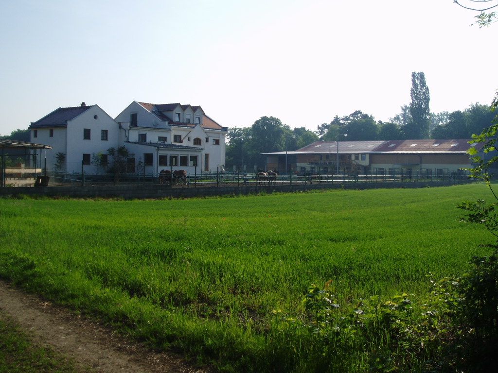 Pohled zezadu na velký bílý dům se sousední stájí a zelenou loukou v popředí.
