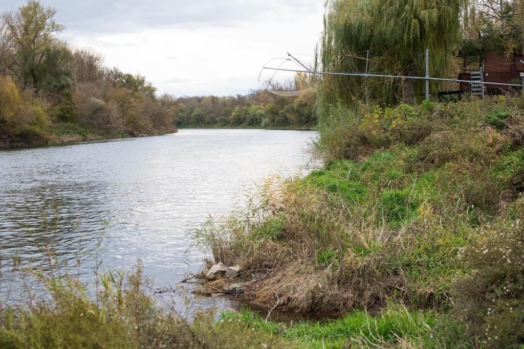 Říční krajina se stromy a zelenými břehy.
