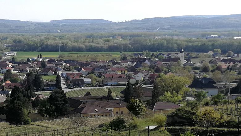 Panoramatický pohled na obec Rohrendorf s vinicemi v popředí a kopci v pozadí.