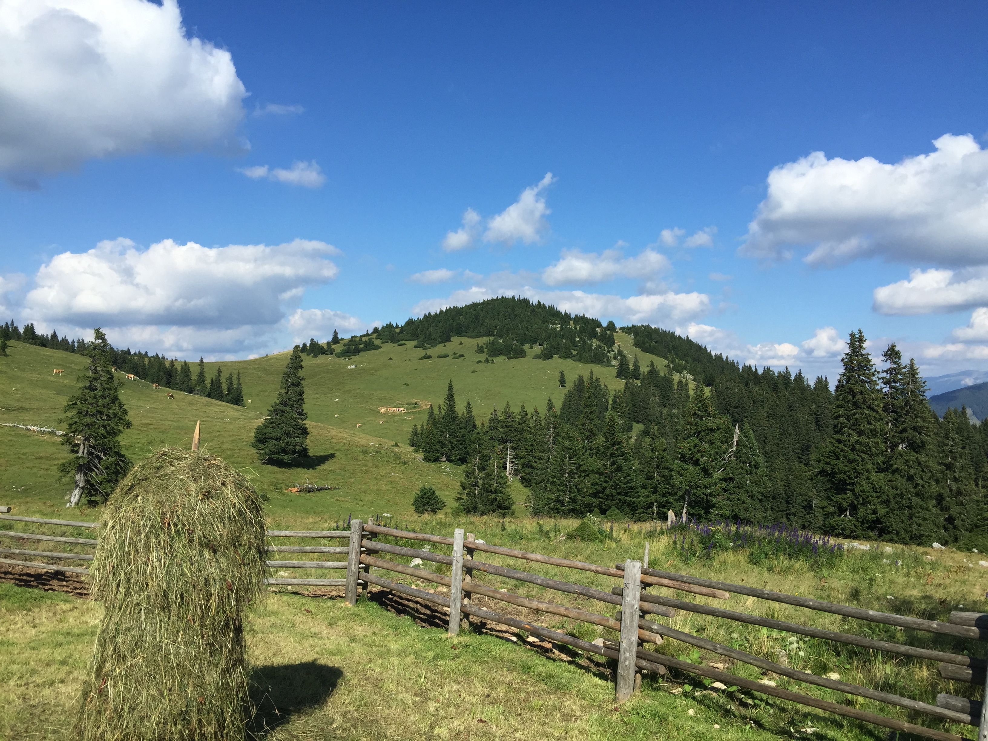 Okolí St. Aegyd am Neuwalde