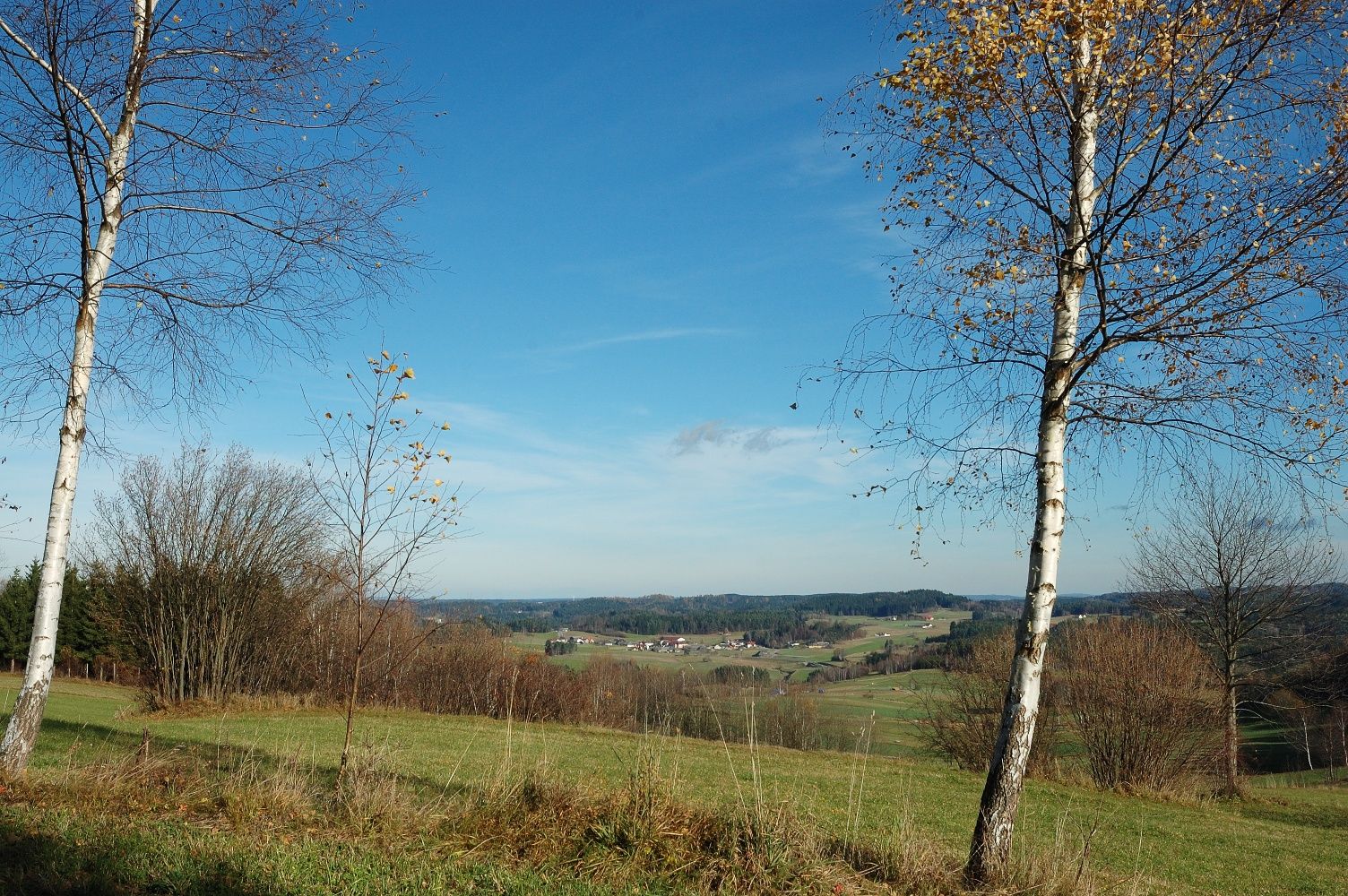 Turistická stezka-Hochberg