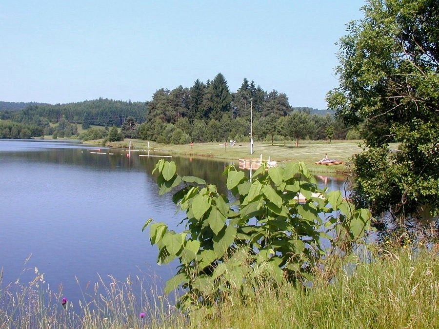 Klidné jezero se zeleným břehem a stromy v pozadí.