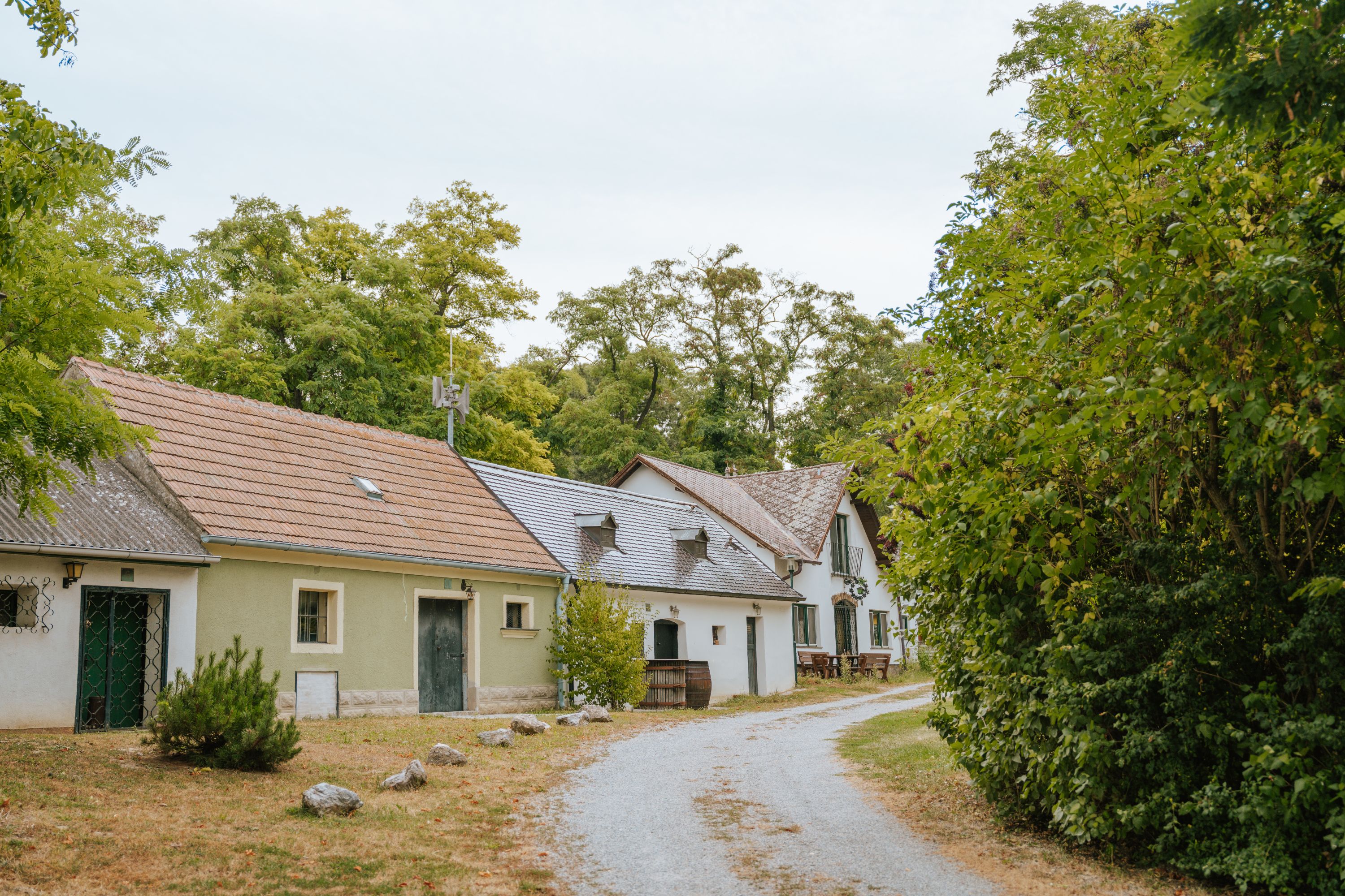 Malebná sklepní ulička s tradičními stavbami a stromy v Mannersdorfu u Rochusbergu.