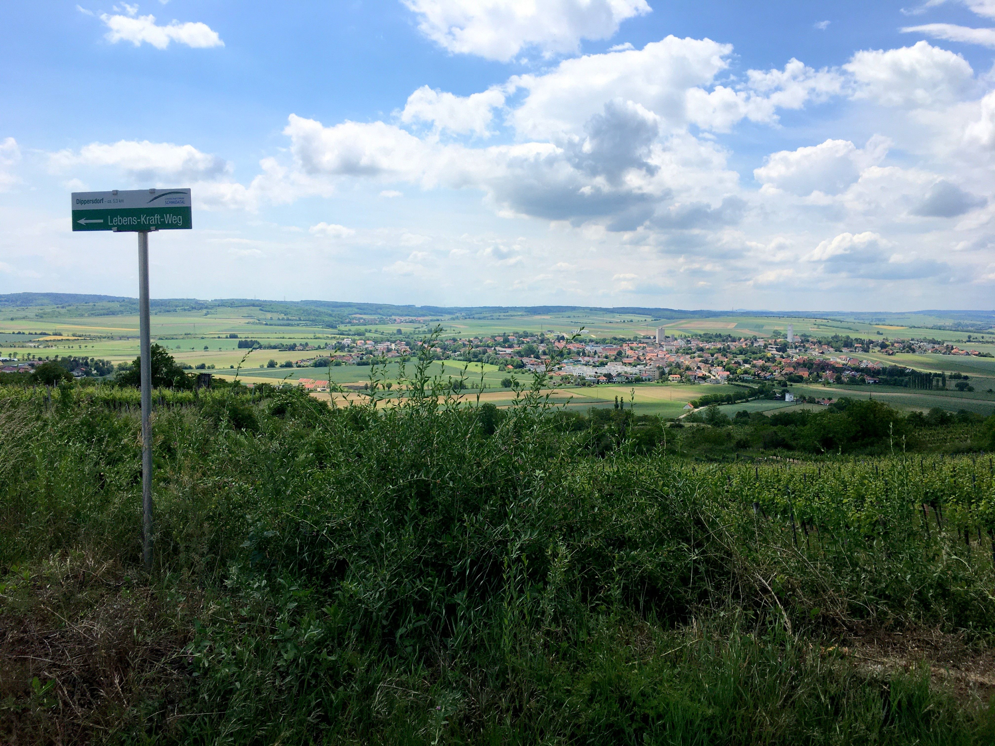 Krajina s výhledem na Ziersdorf a ukazatelem "Lebens-Kraft-Weg".