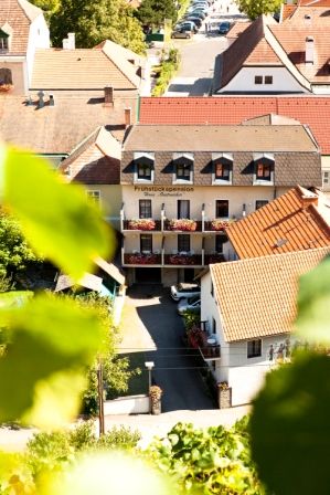 Pohled na budovu s nápisem "Haus Oestreicher", obklopenou dalšími domy a zelenými listy v popředí.