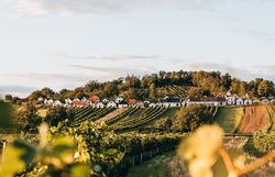 Sanfte Hügel, bedeckt mit üppigen Weinreben, laden zu einer erholsamen Auszeit ein. Die charmanten Häuschen am Hang strahlen eine einladende Gemütlichkeit aus und versprechen unvergessliche Sommertage inmitten der Natur.