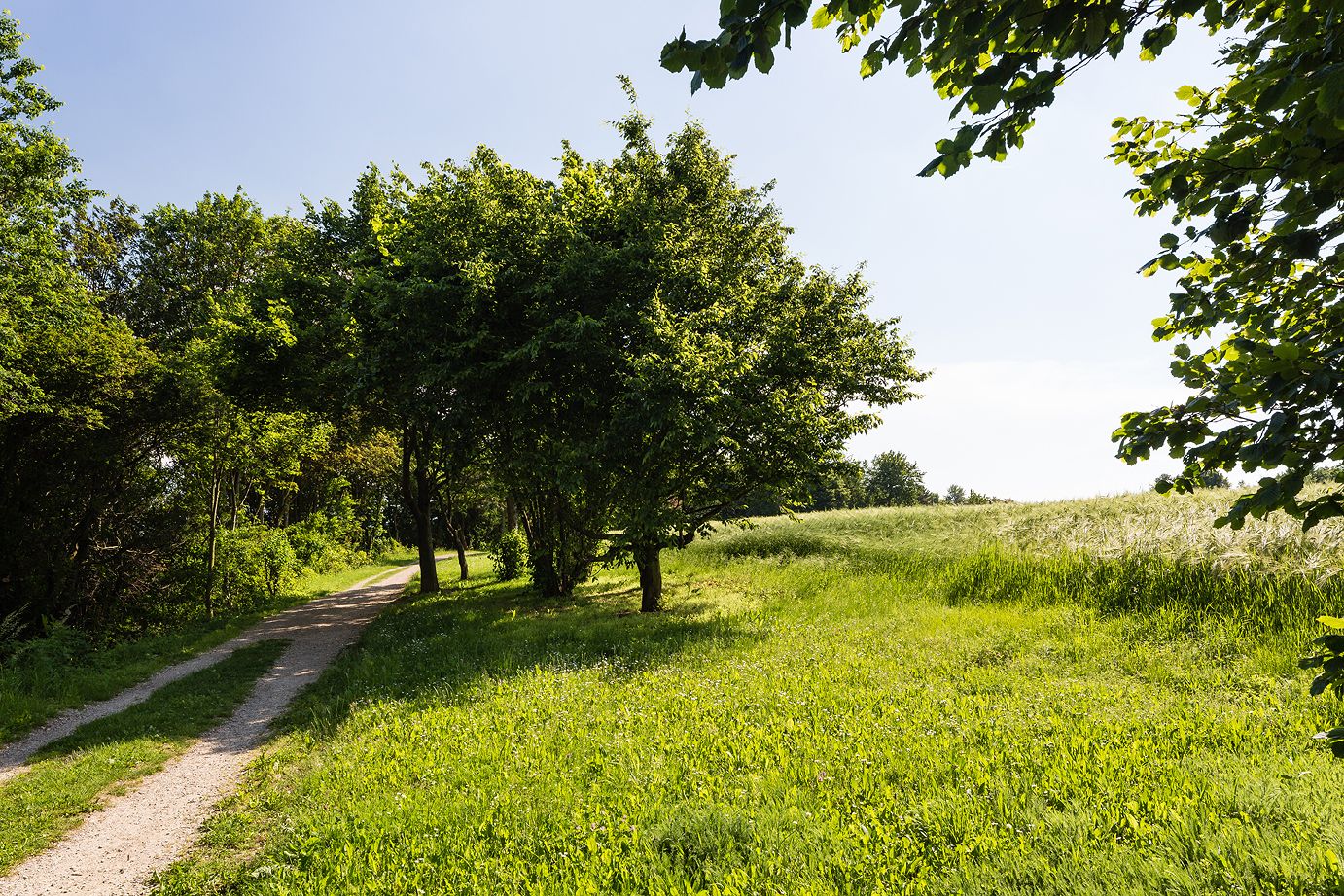 Panoramatická stezka Krembserberg