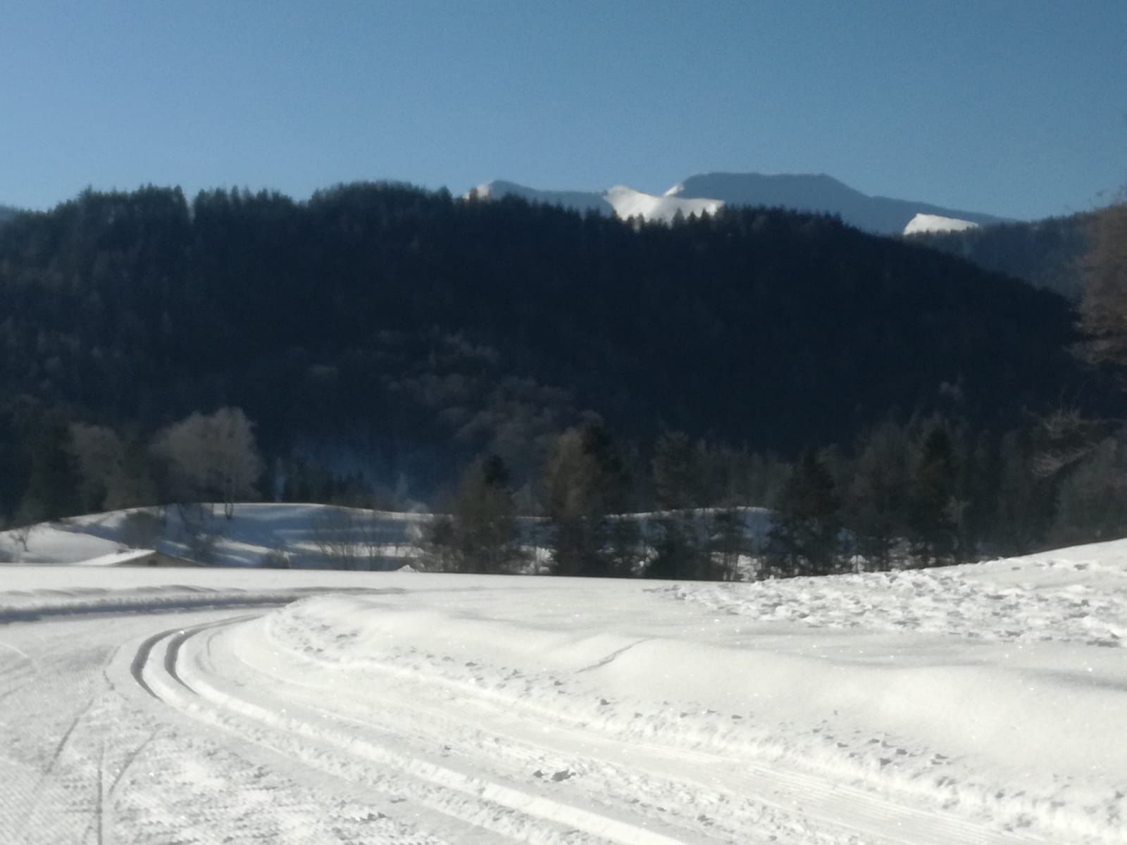 PANORMALOIPEN - 2/2 běžecká trať