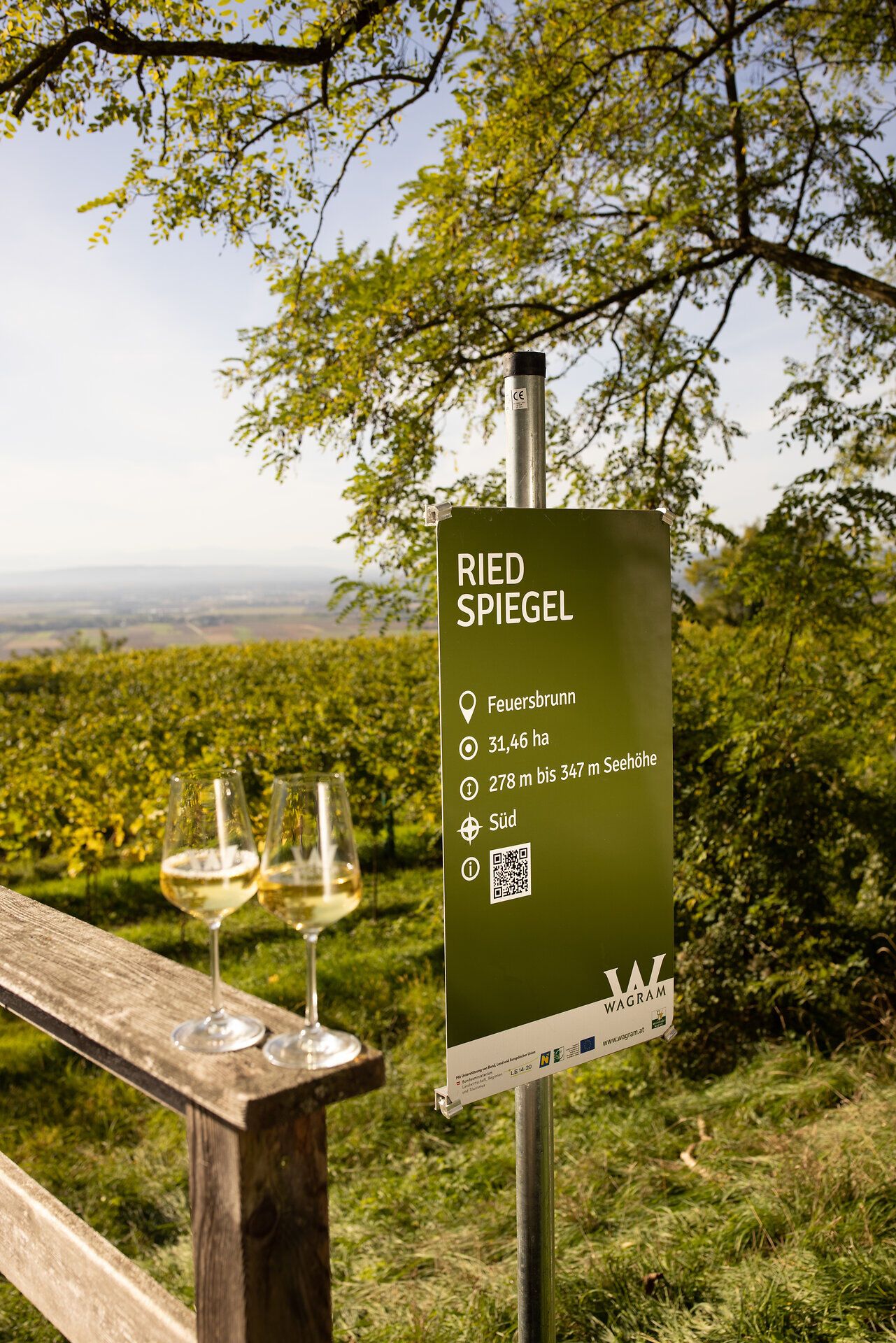 Uprostřed kopců se rozprostírá vinná réva, která rozkvétá v teplém jarním světle. Dvě sklenky zlatavého vína jsou připraveny na oslavu požitků tohoto regionu. Pohled na rozlehlé vinice slibuje nezapomenutelné chvíle.