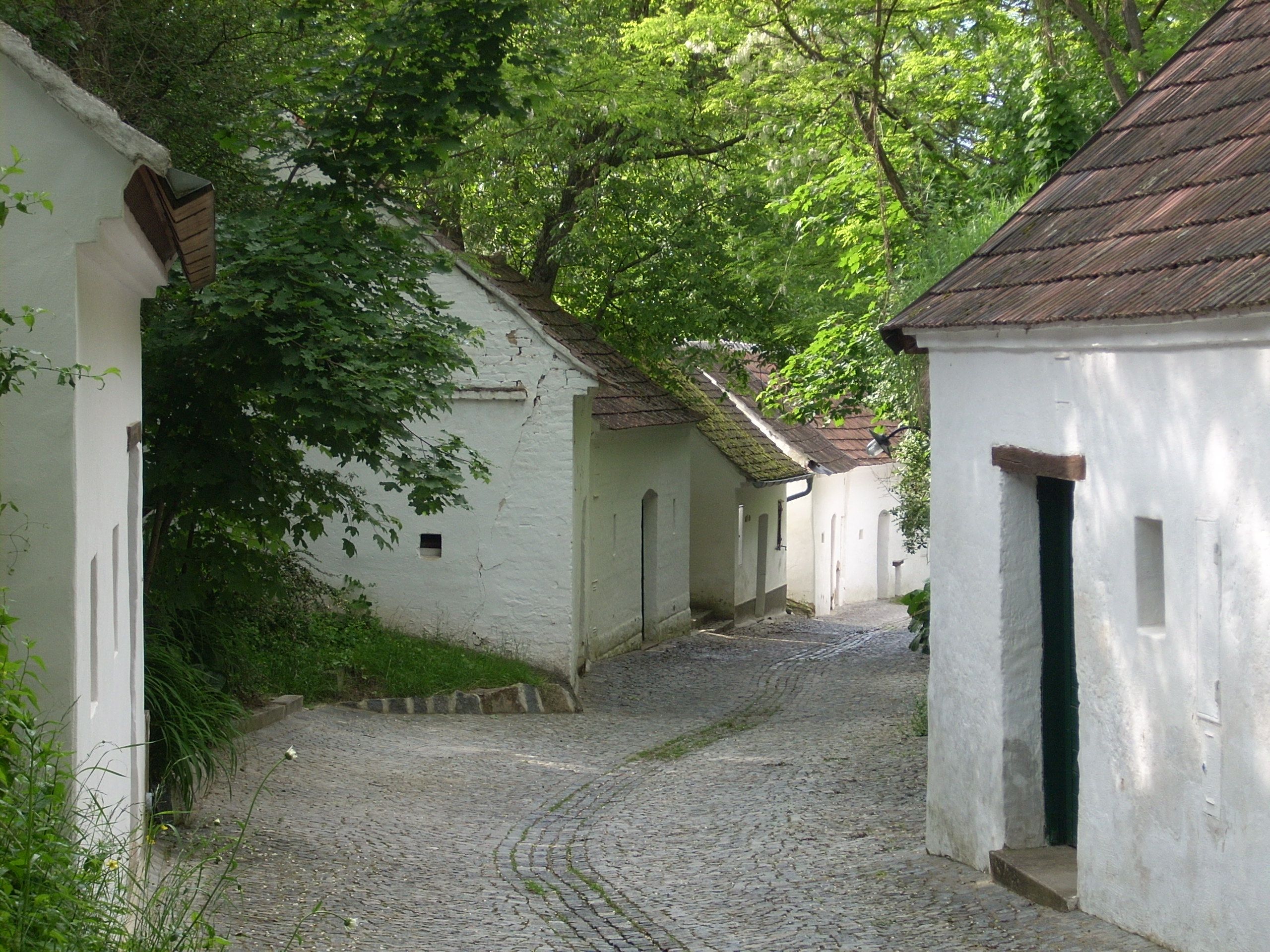 Malebná sklepní ulička s bílými vinnými sklípky a dlažbou, obklopená zelenými stromy.
