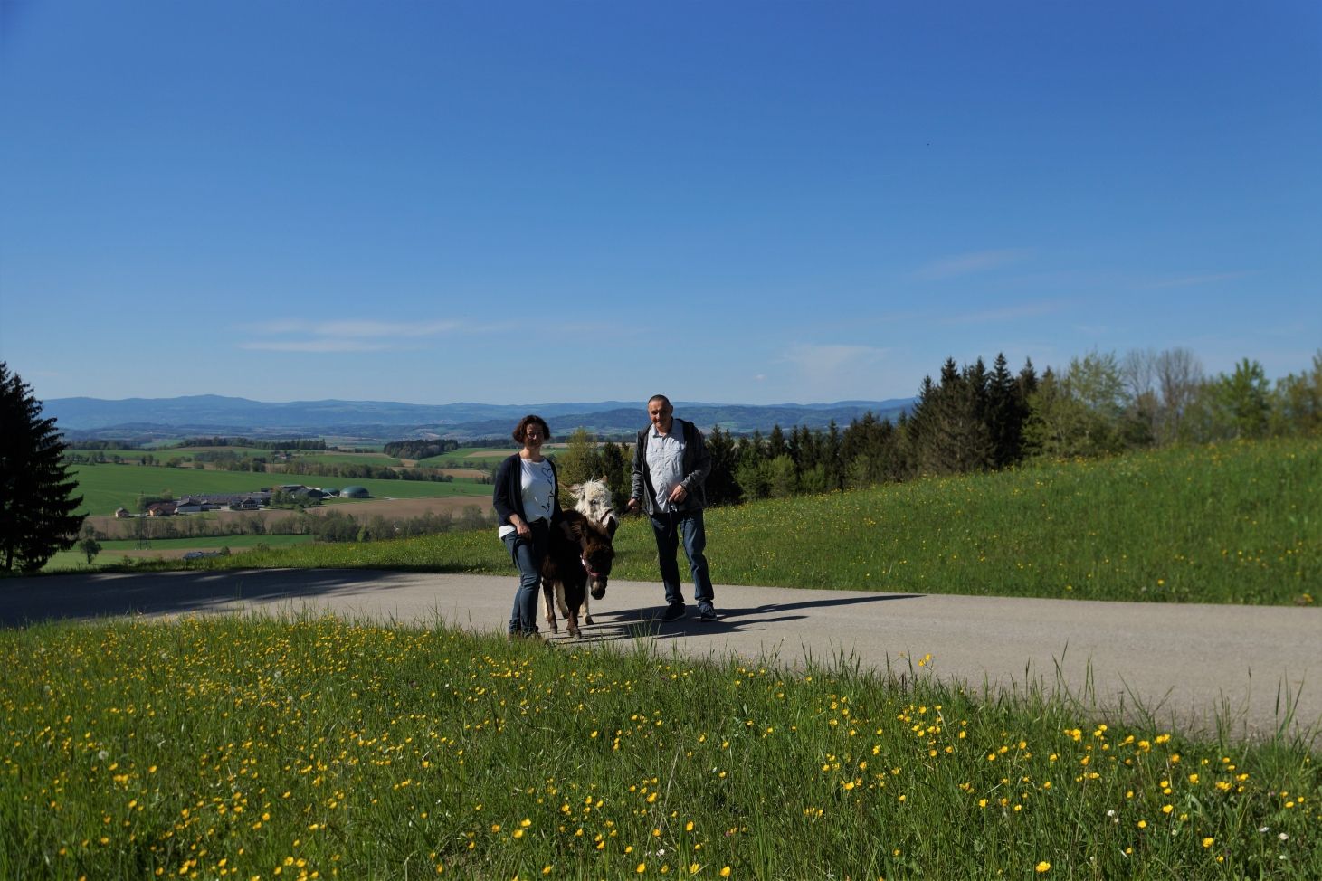 výlet na osla karnerhof