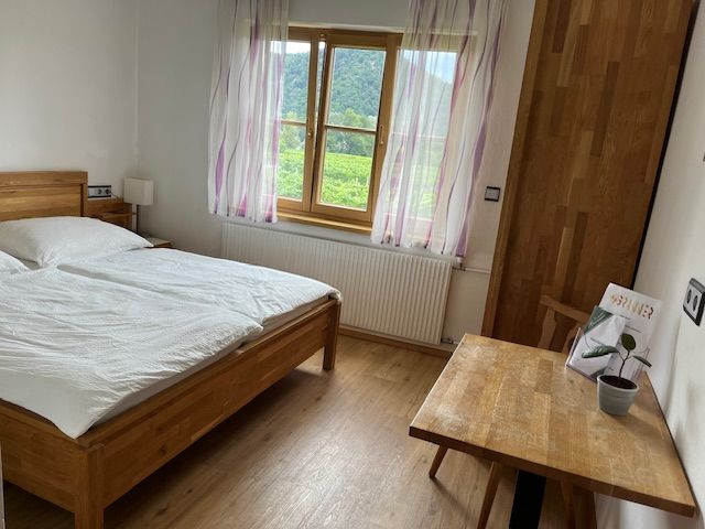 Pokoj pro hosty