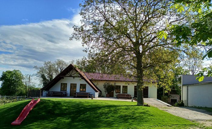 Vinice s terasou, stromy a skluzavkou v popředí.