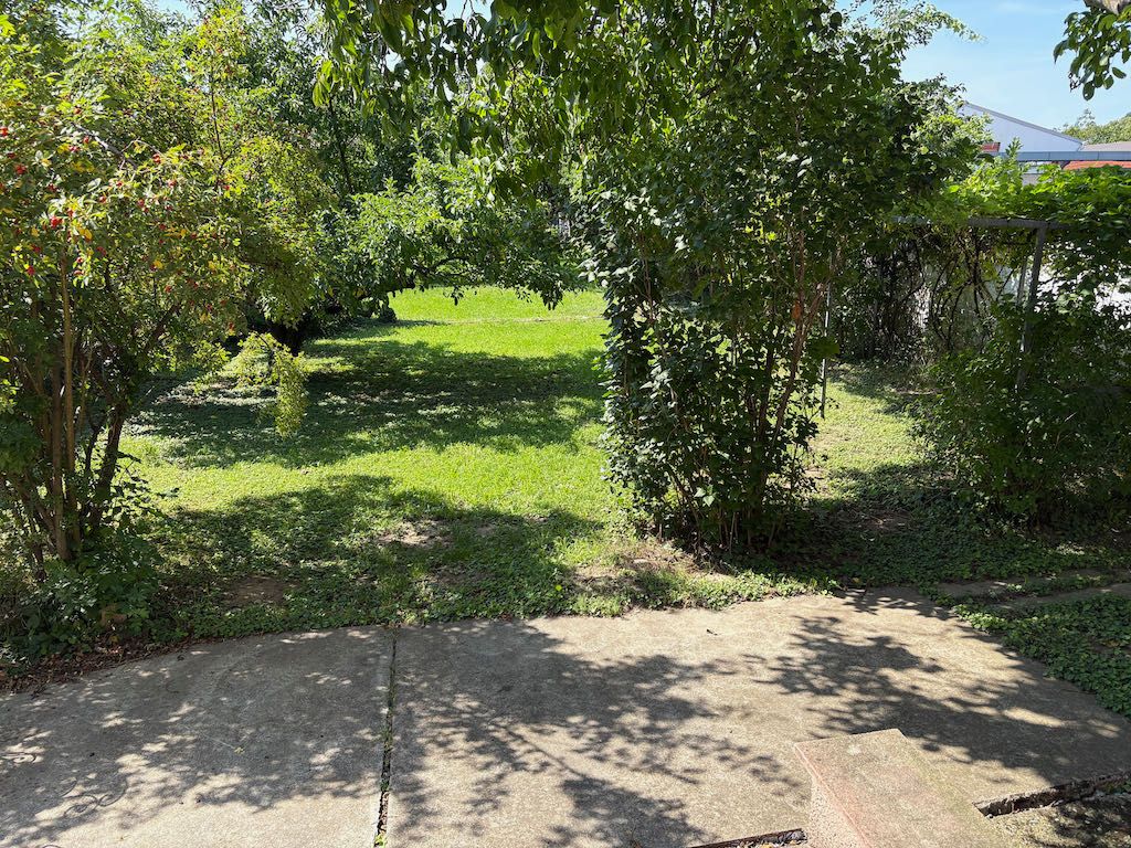 Zahrada se stromy a keři, slunečný den.