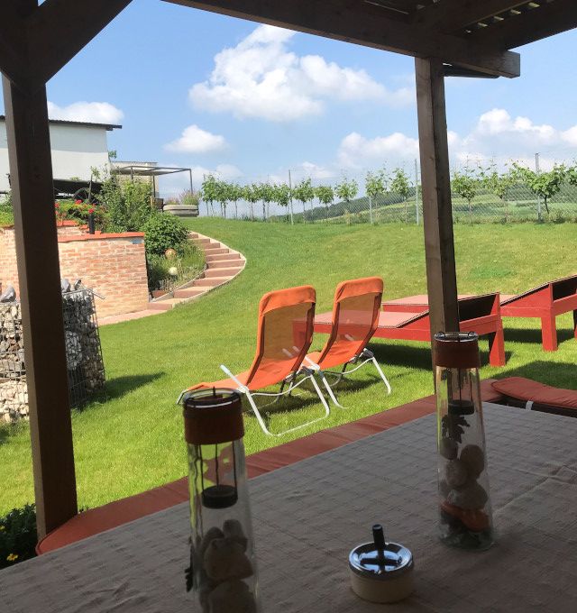 Pohled z terasy do zahrady s lehátky a vinnou révou v pozadí.