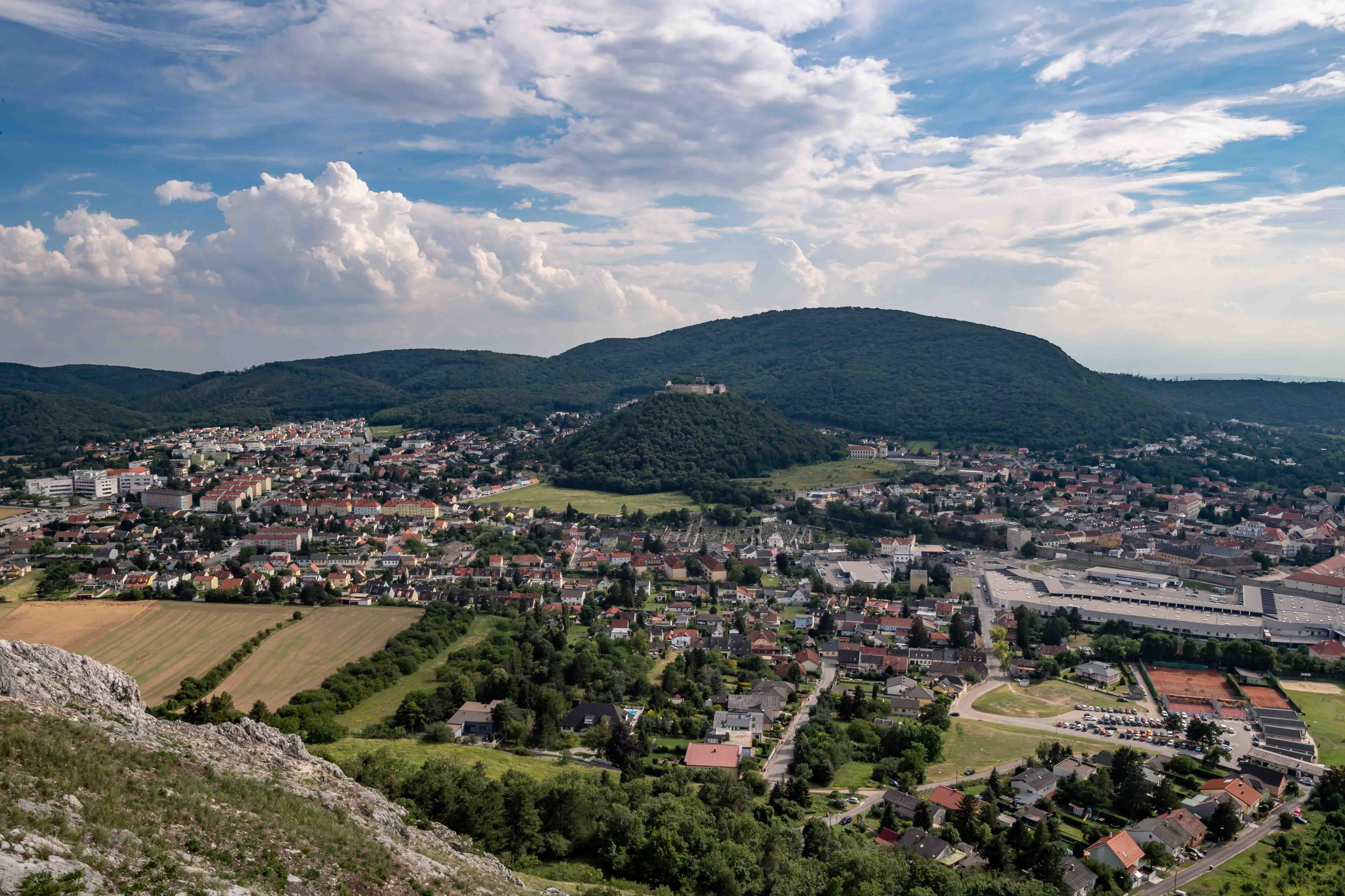 Braunsberg 