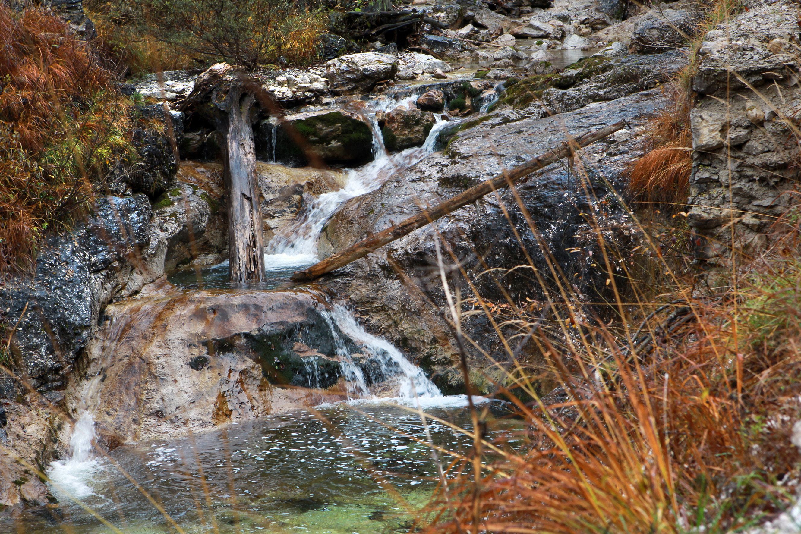 Wildnisgebiet Dürrenstein
