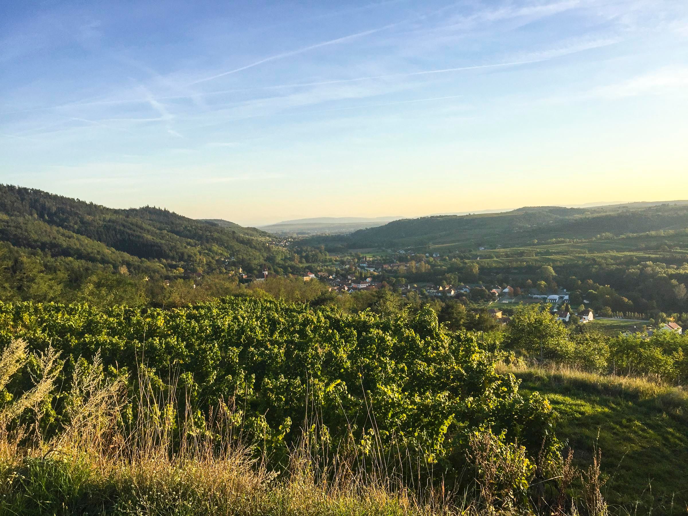 Rieden, Schönberg am Kamp