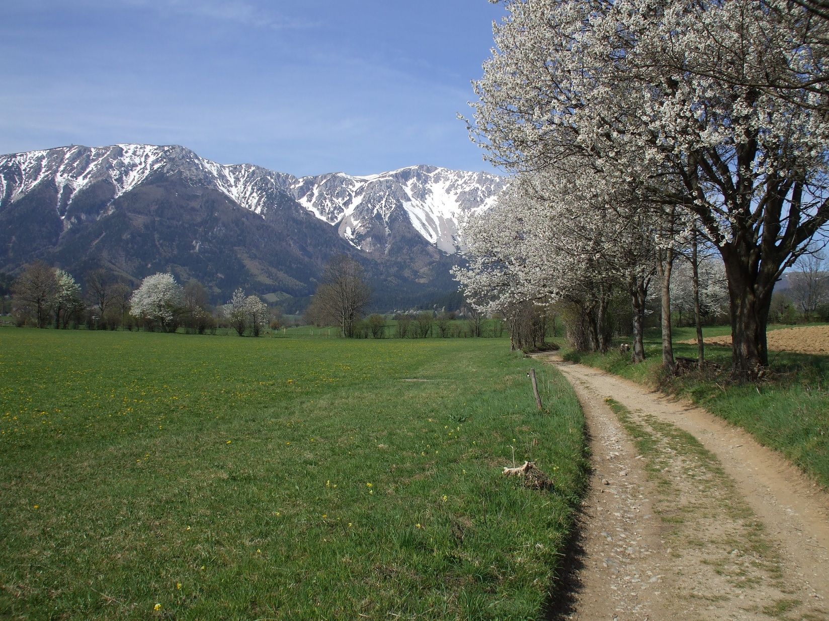 Sněžná hora