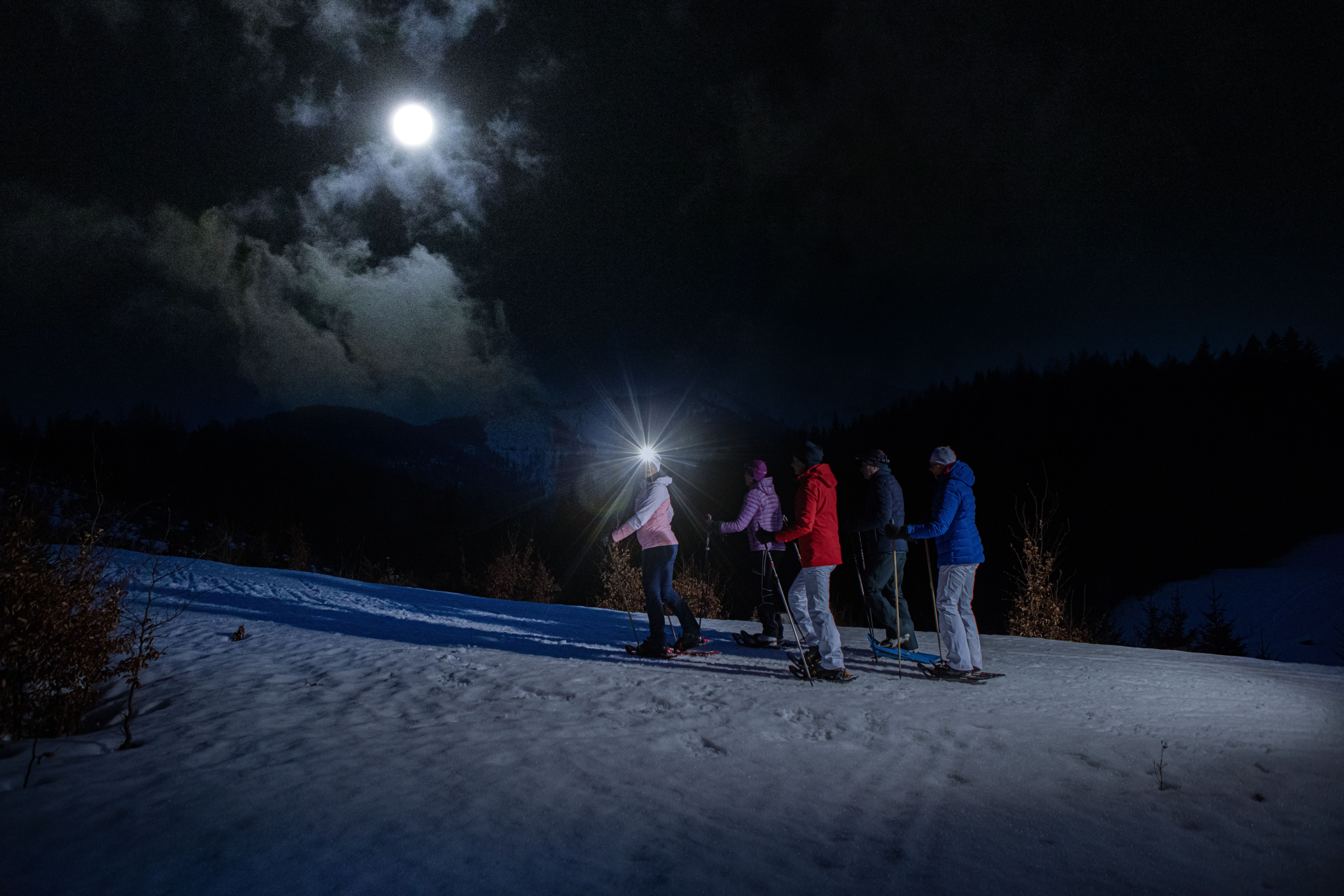 Ilustrační obrázek