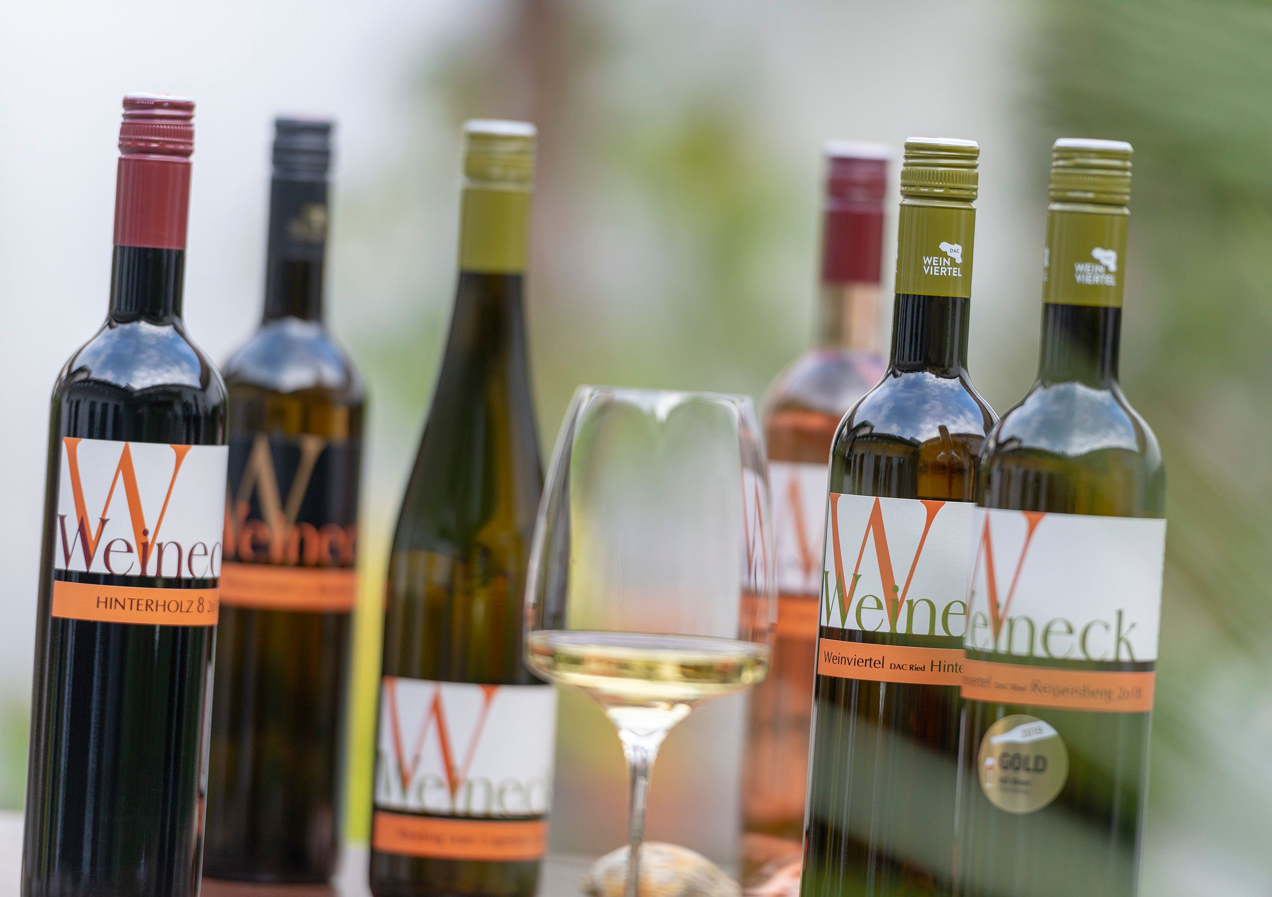 Různé láhve vína a sklenice bílého vína na stole.