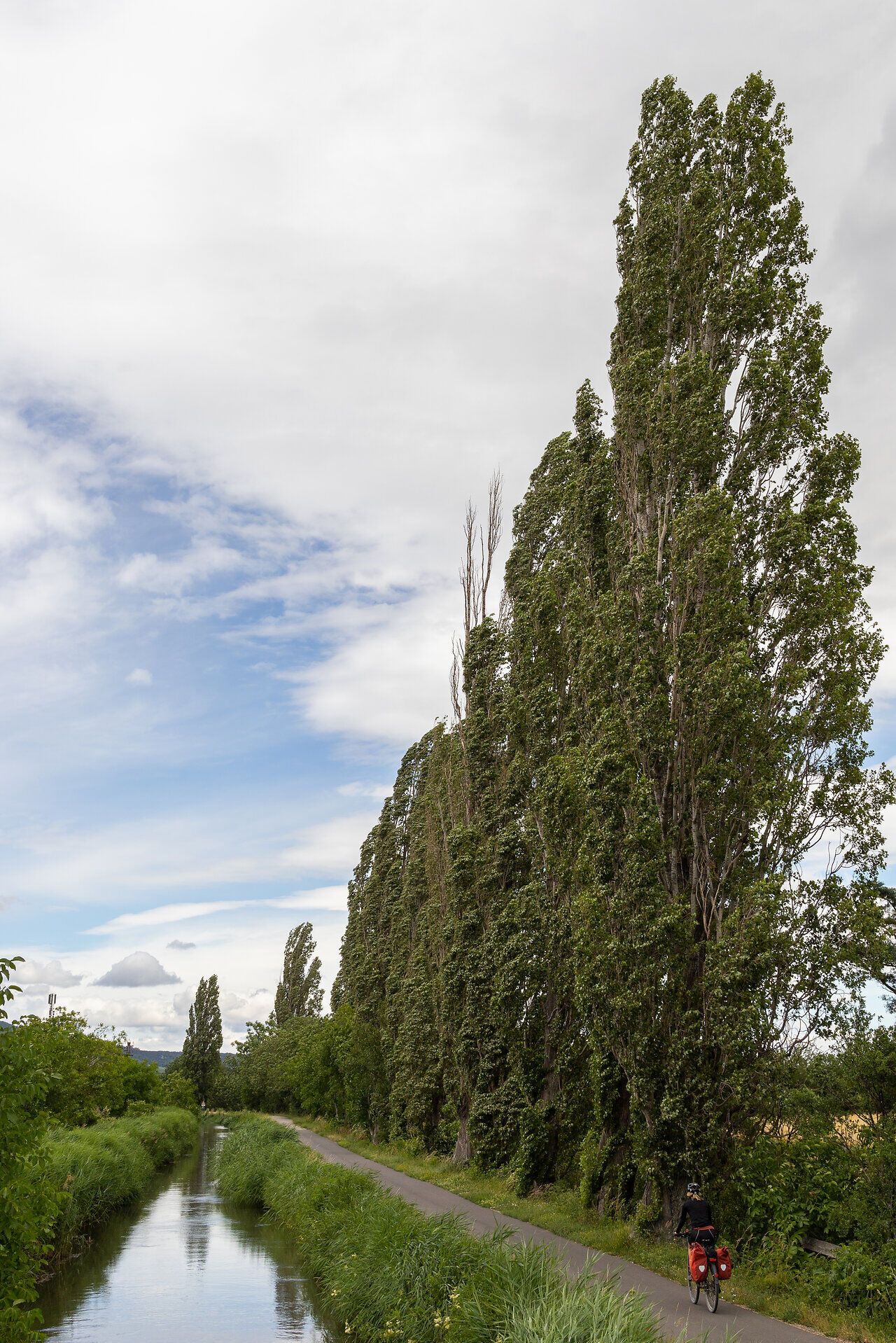 Entlang eines malerischen Radwegs schlängeln sich hohe Pappeln in den Himmel und spenden Schatten für Radfahrer. Das sanfte Plätschern des Wassers im Kanal und die frische, klare Luft laden dazu ein, die Schönheit der Natur zu genießen und eine kleine Auszeit vom Alltag zu nehmen.