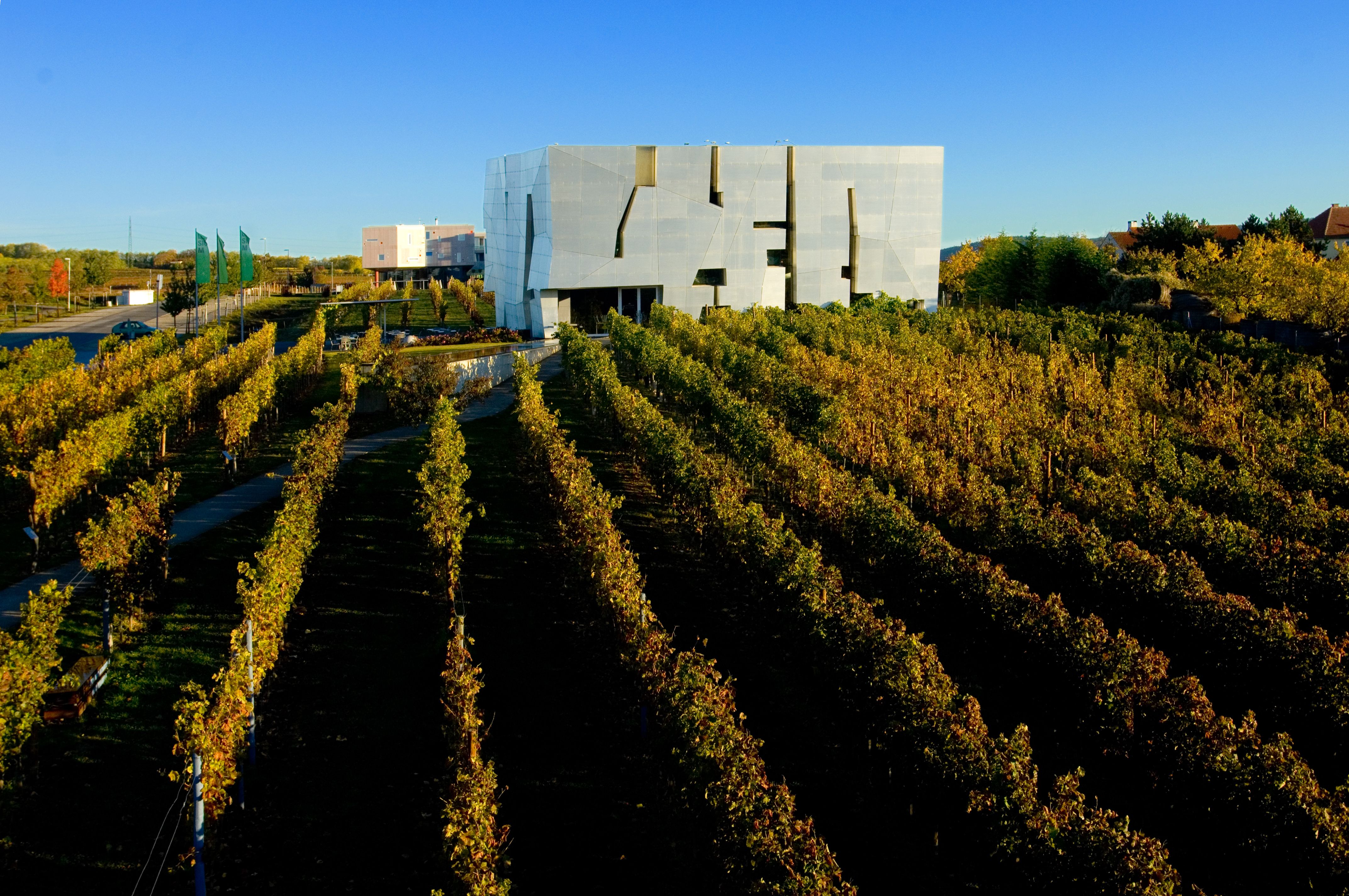 Moderní architektura LOISIUM v Langenlois, obklopené vinicemi.
