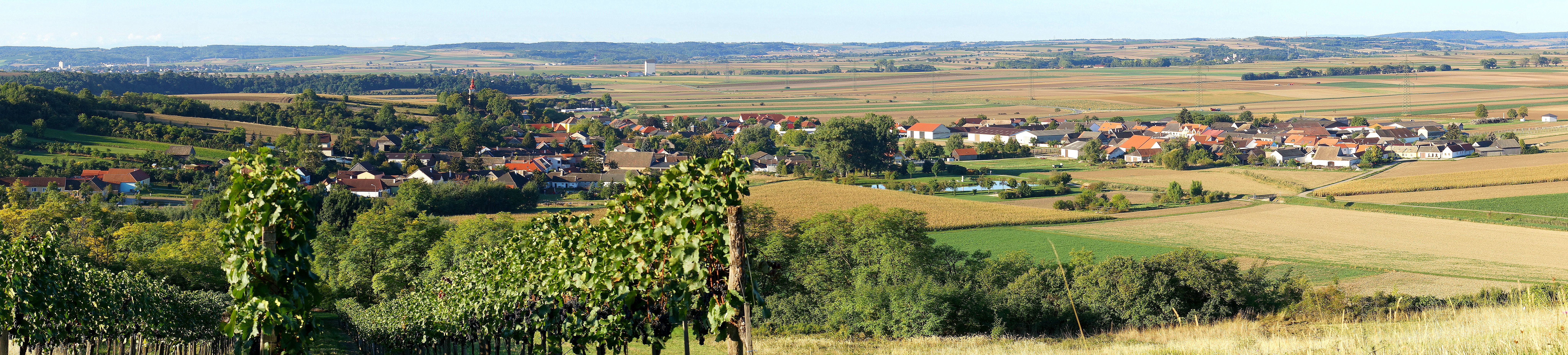 Panorama vesnice s poli a vinicemi v popředí.