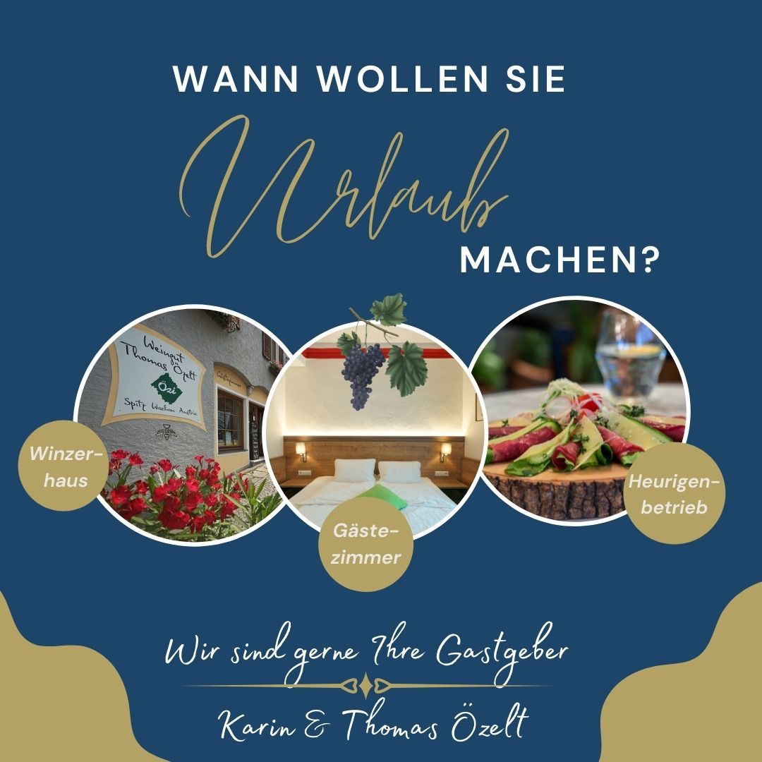 Reklama na dovolenou ve Wachau s fotografiemi vinařského domu, pokojů pro hosty a vinárny.