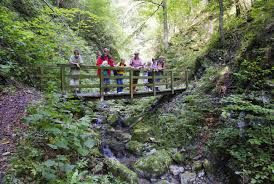 Skupina turistů na dřevěném mostě v zalesněné rokli.